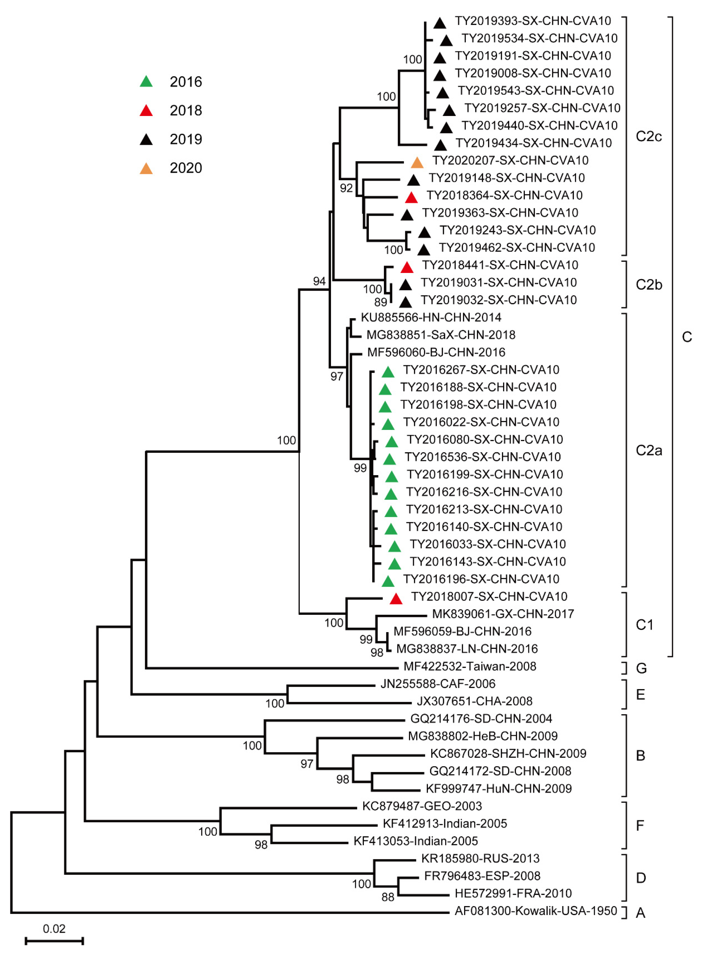 Viruses 15 00694 g002