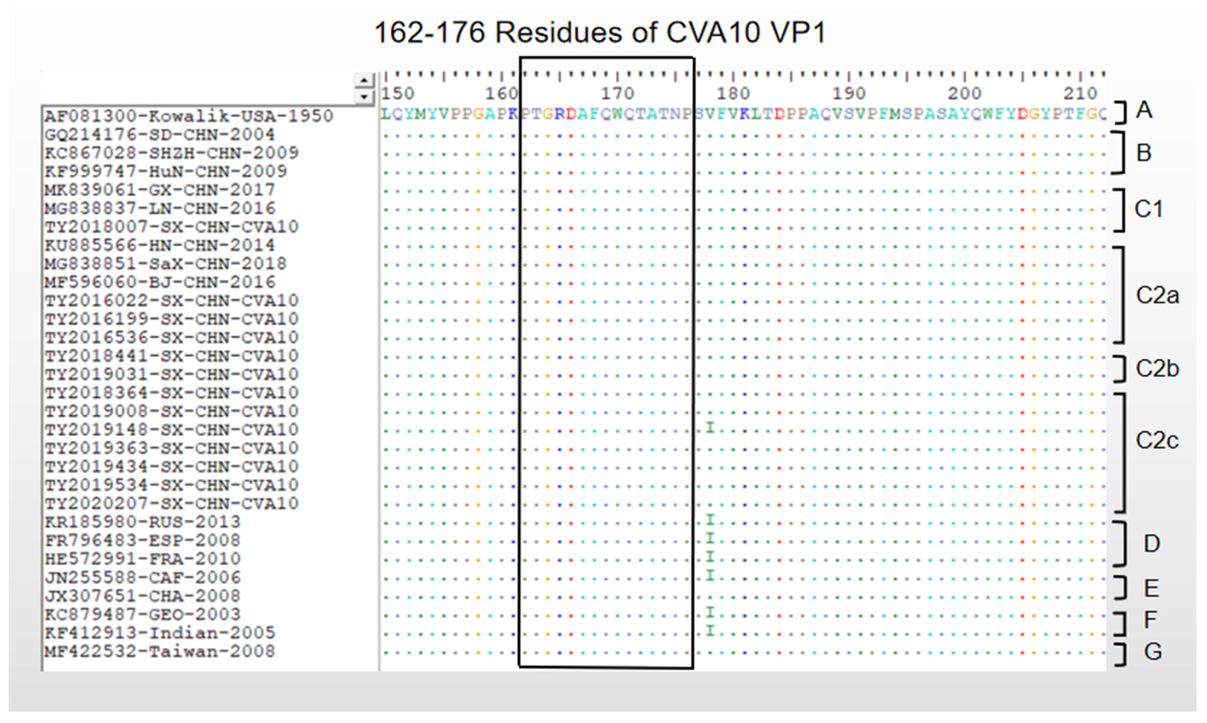 Viruses 15 00694 g003