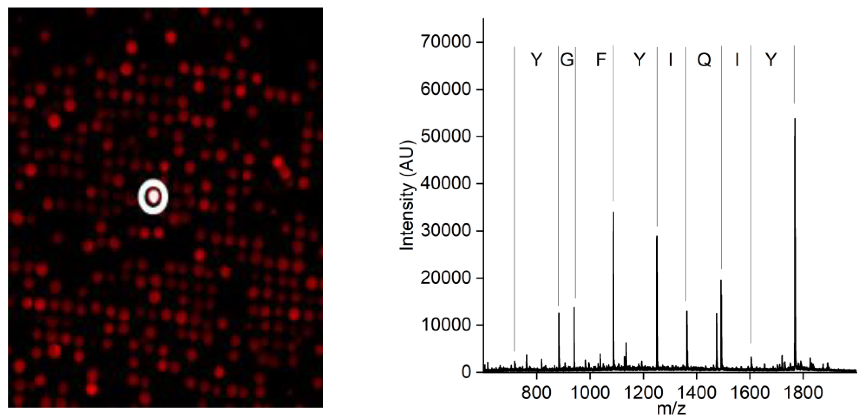 Viruses 15 00697 g003