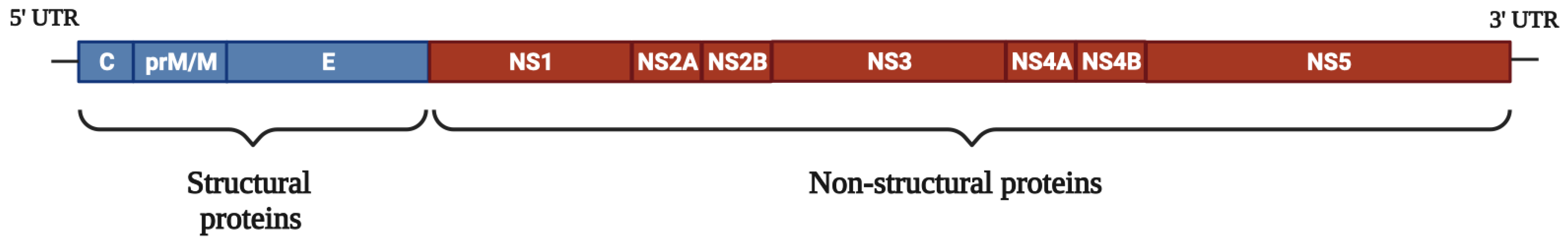 Viruses 15 00705 g001