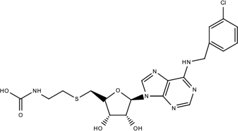 Viruses 15 00705 i016 Viruses 15 00705 i016