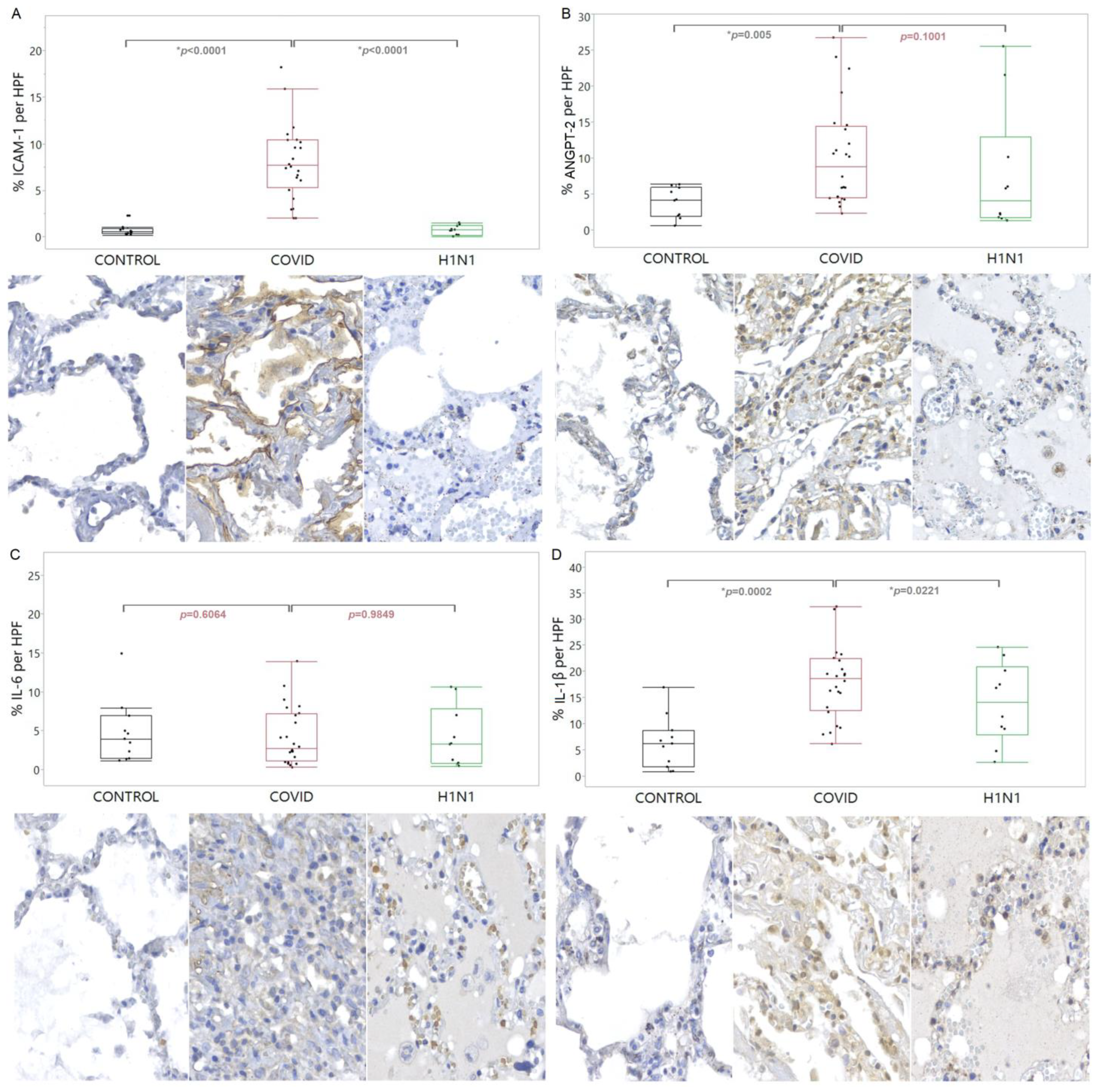Viruses 15 00706 g001