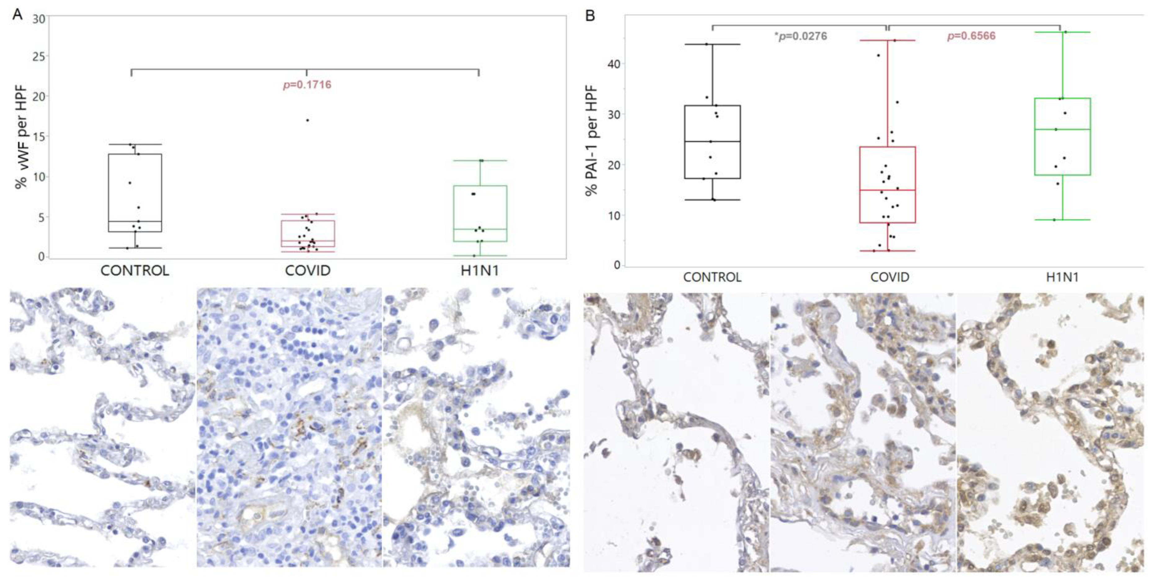 Viruses 15 00706 g002