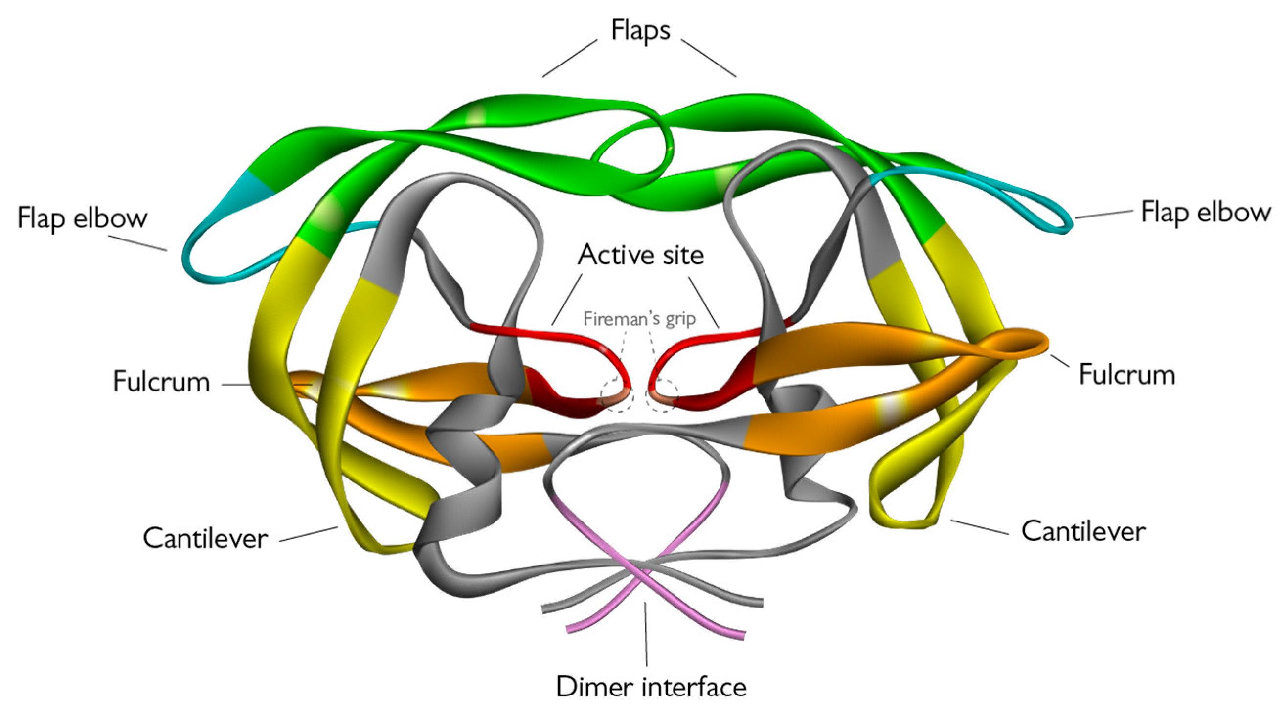 Viruses 15 00712 g003