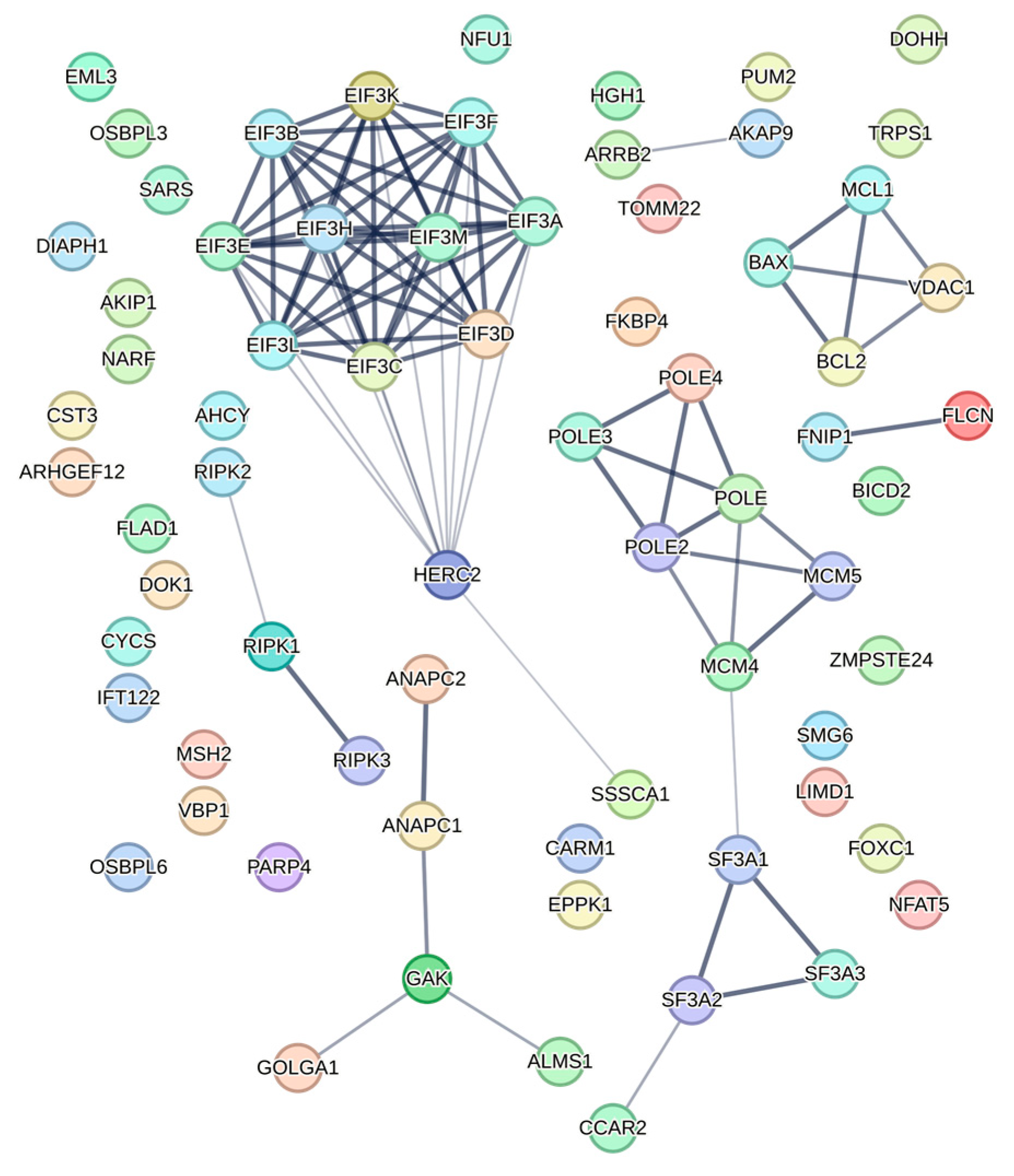 Viruses 15 00712 g005