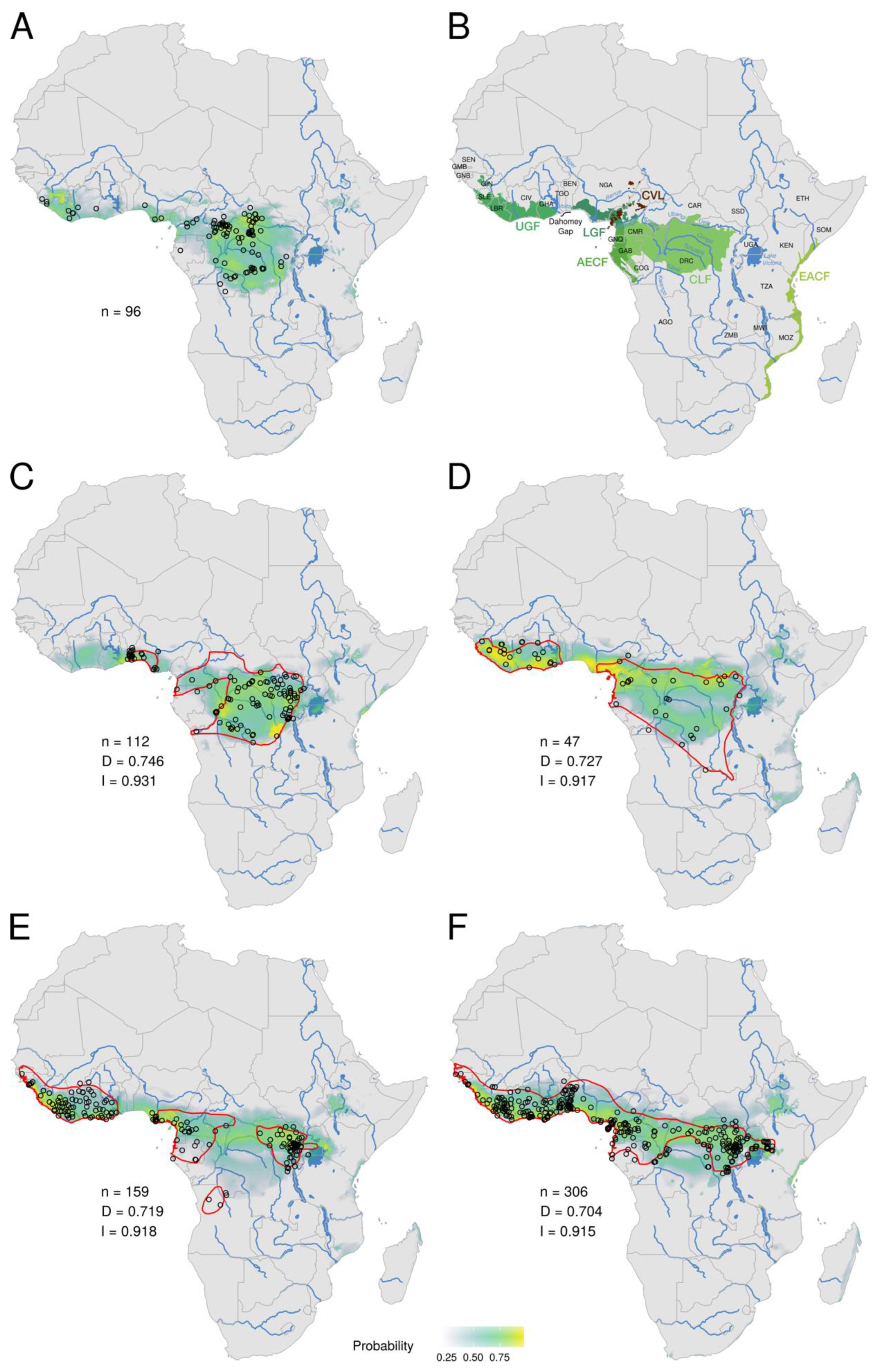 Viruses 15 00727 g001