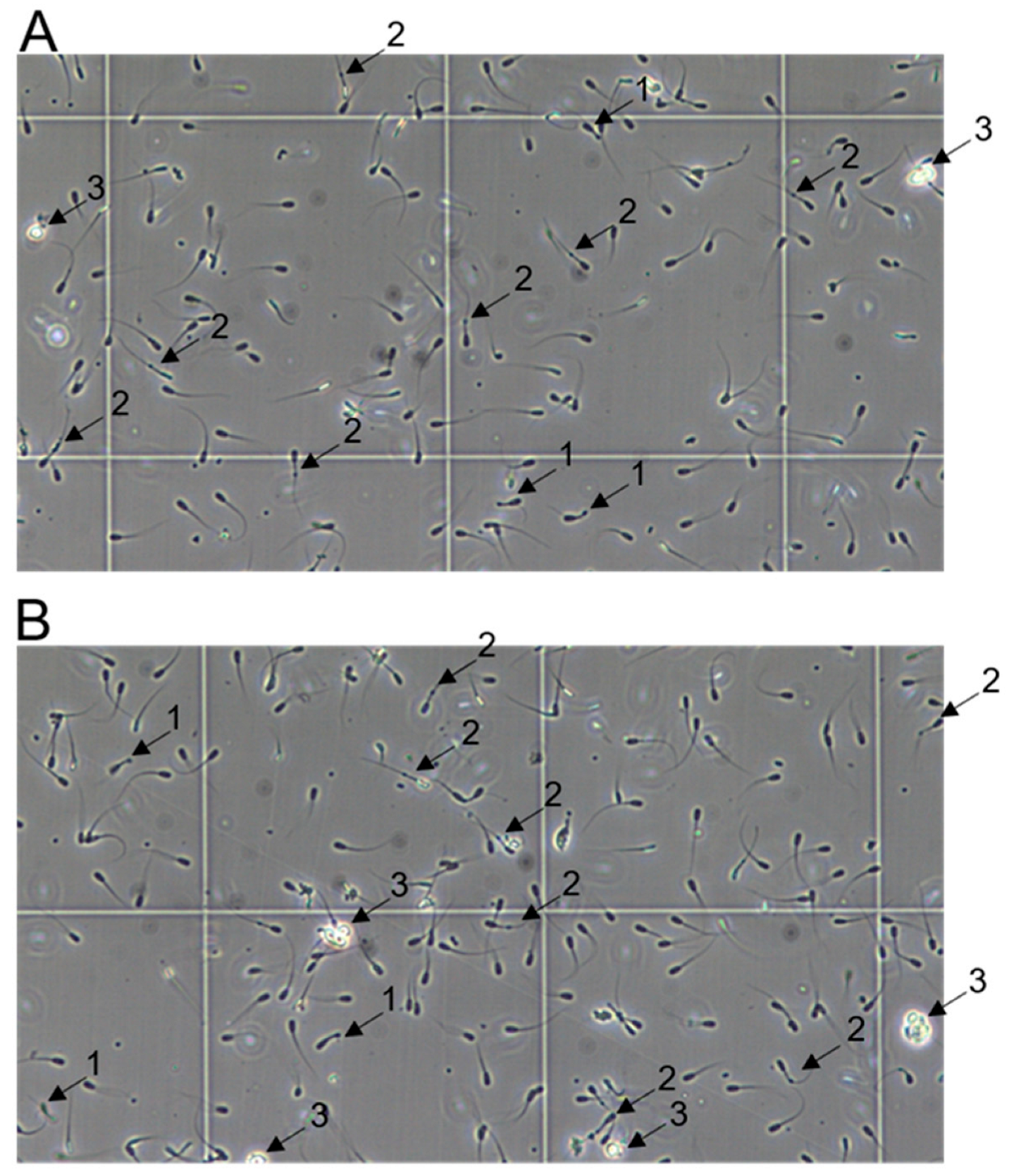 Viruses 15 00729 g010 Viruses 15 00729 g010