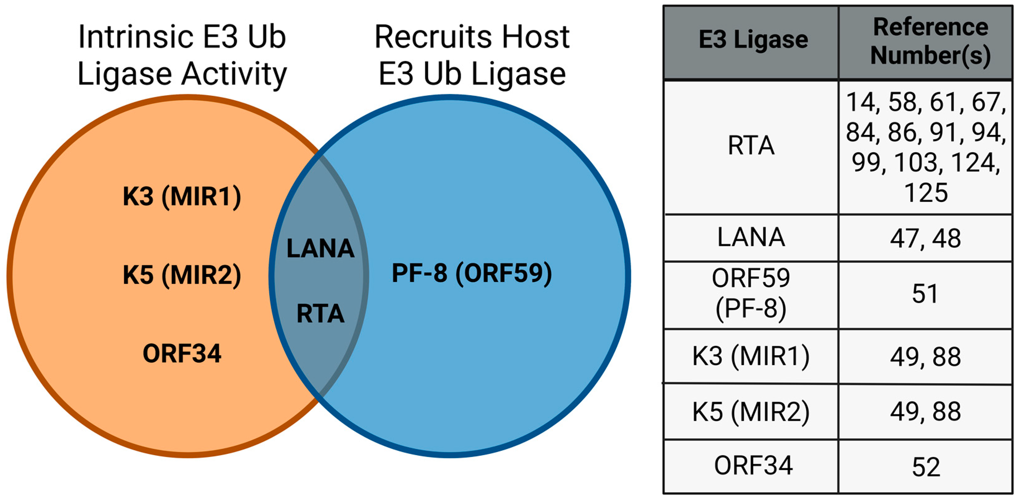 Viruses 15 00730 g003
