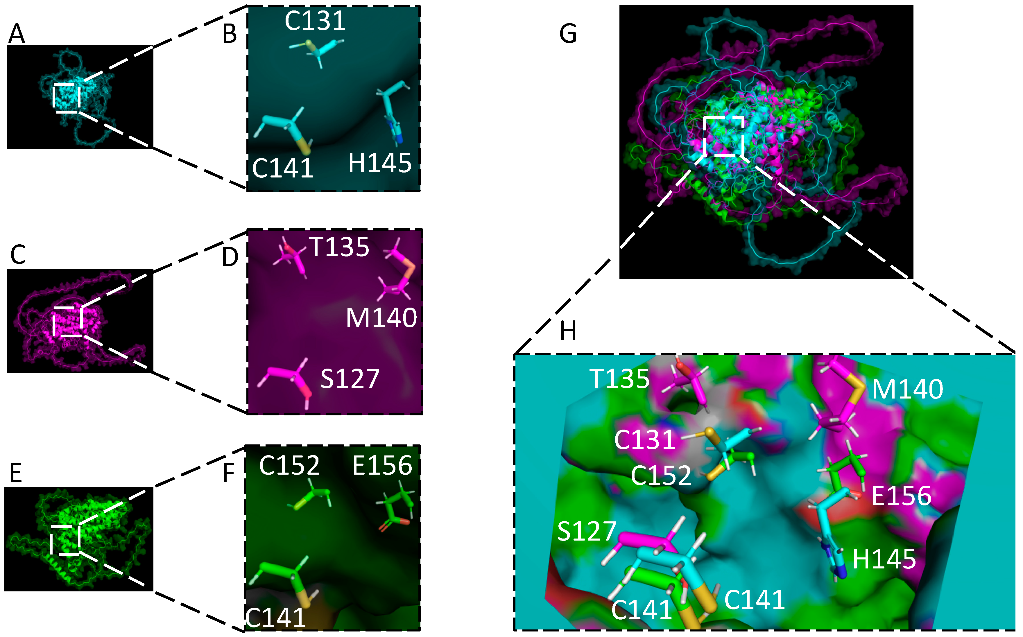 Viruses 15 00730 g006