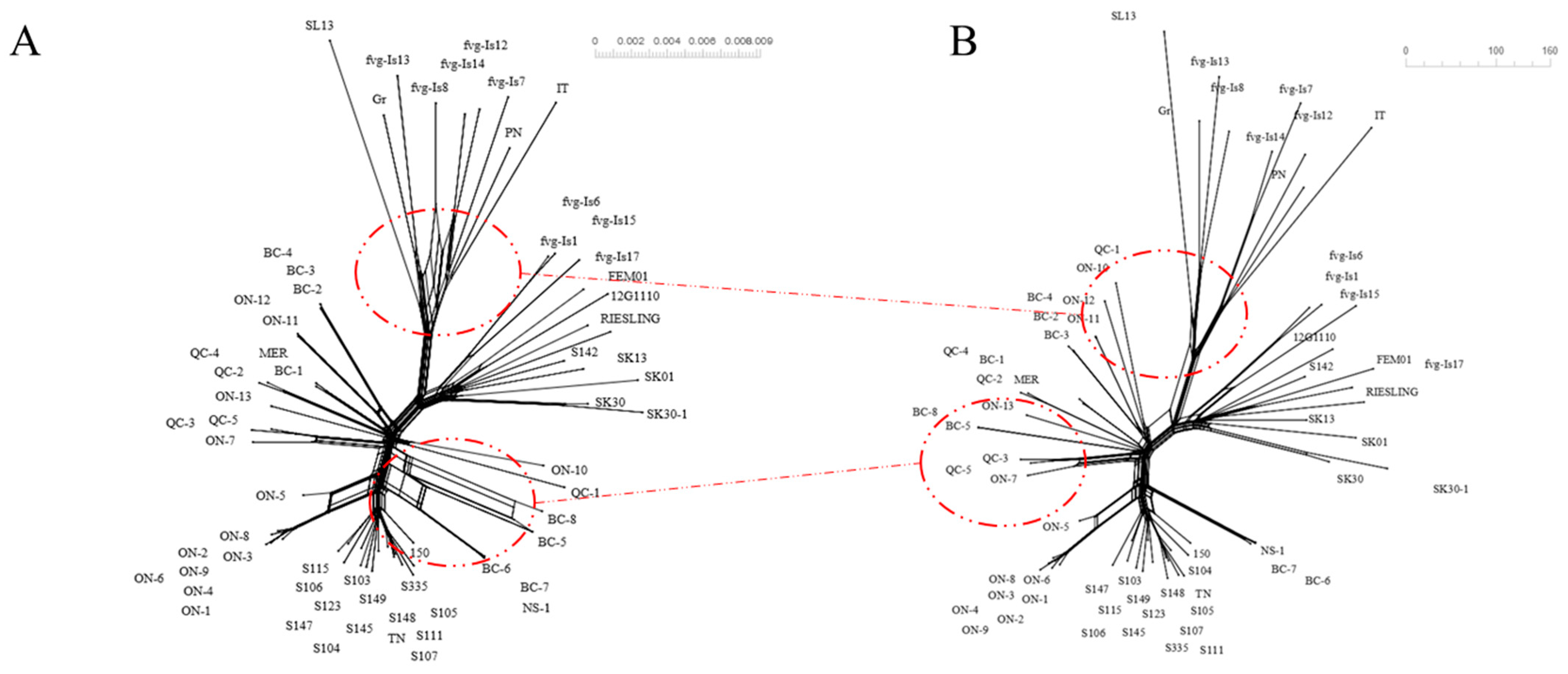 Viruses 15 00735 g001