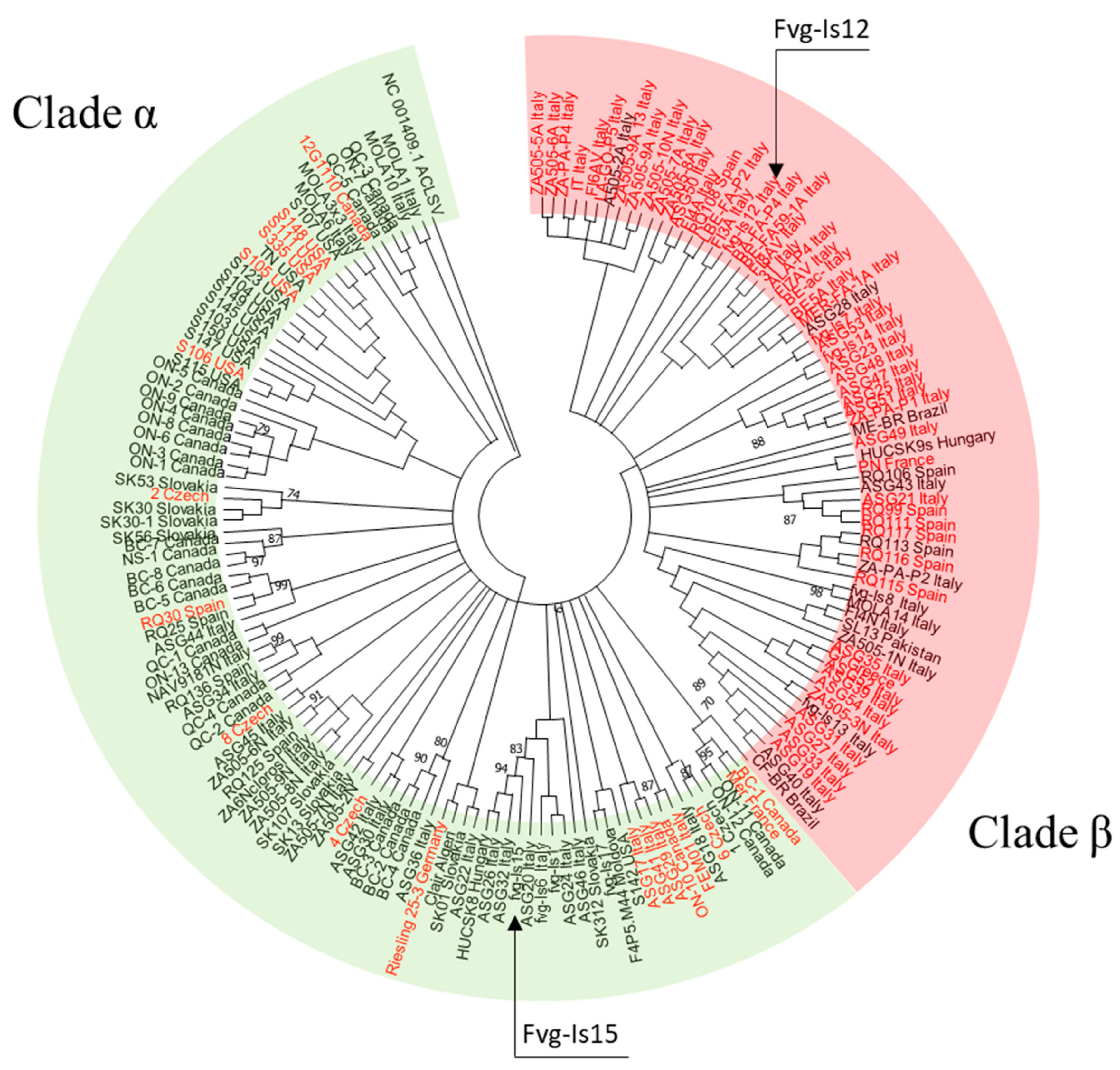 Viruses 15 00735 g004