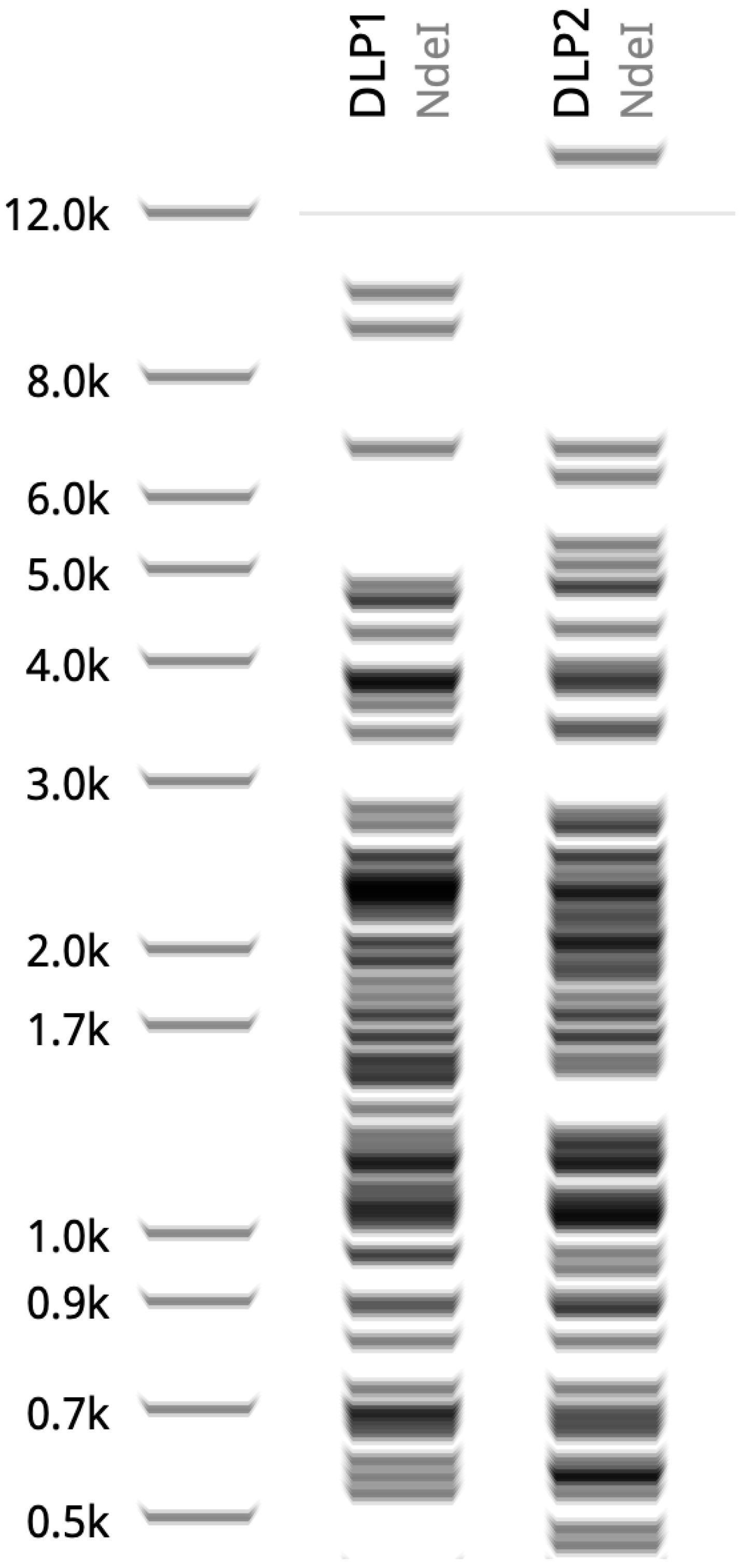 Viruses 15 00739 g009 Viruses 15 00739 g009