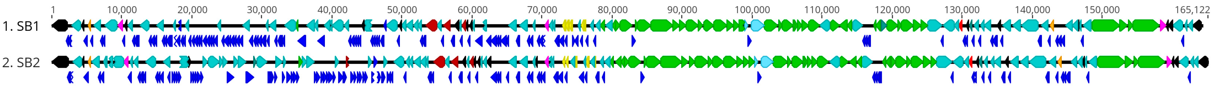 Viruses 15 00739 g010 Viruses 15 00739 g010