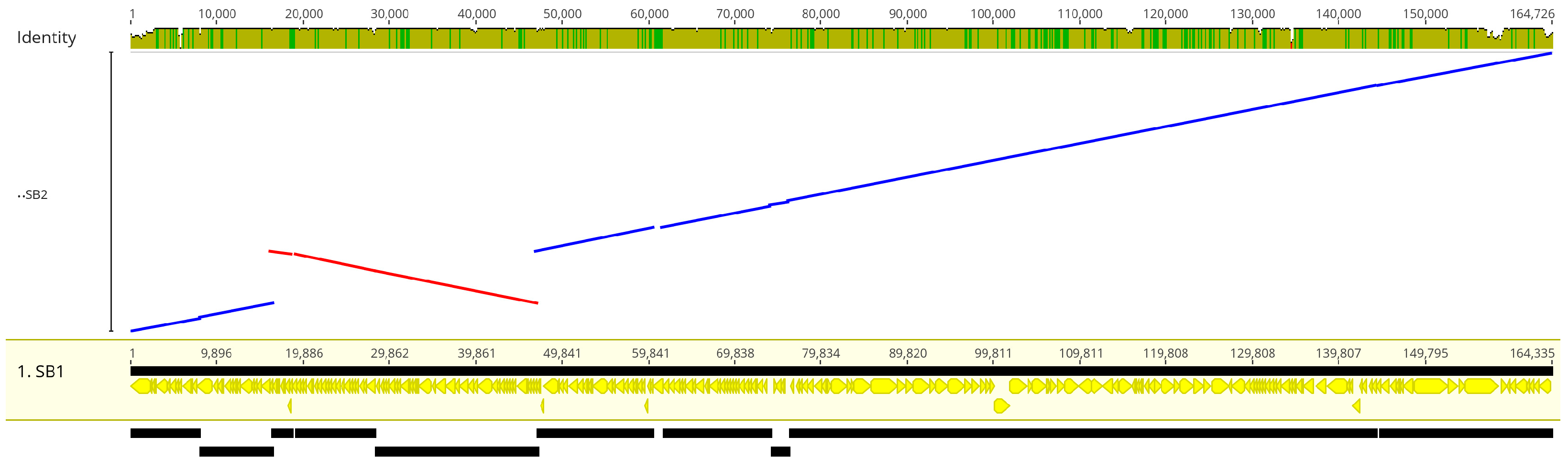 Viruses 15 00739 g011 Viruses 15 00739 g011
