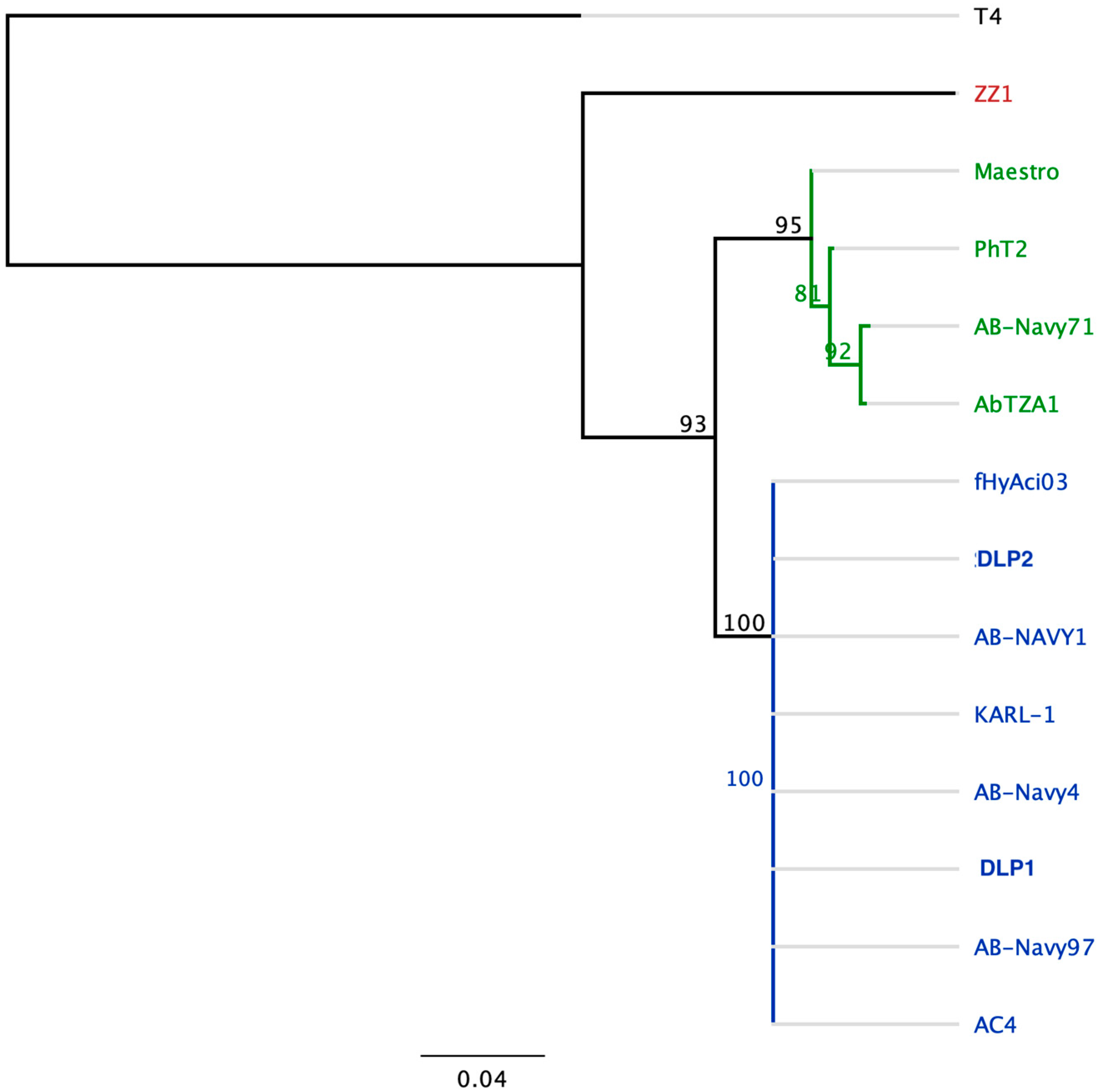Viruses 15 00739 g012 Viruses 15 00739 g012