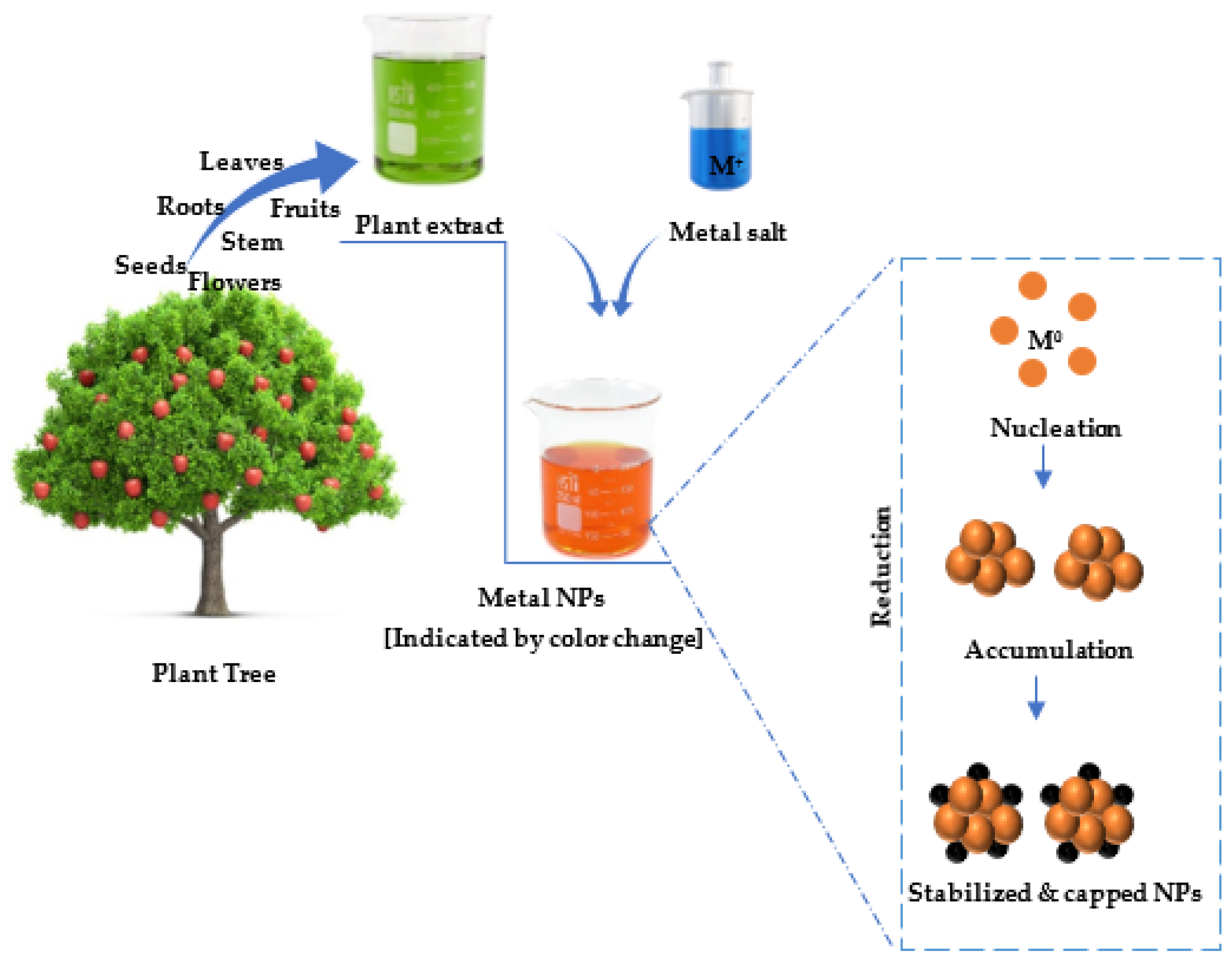 Viruses 15 00741 g001