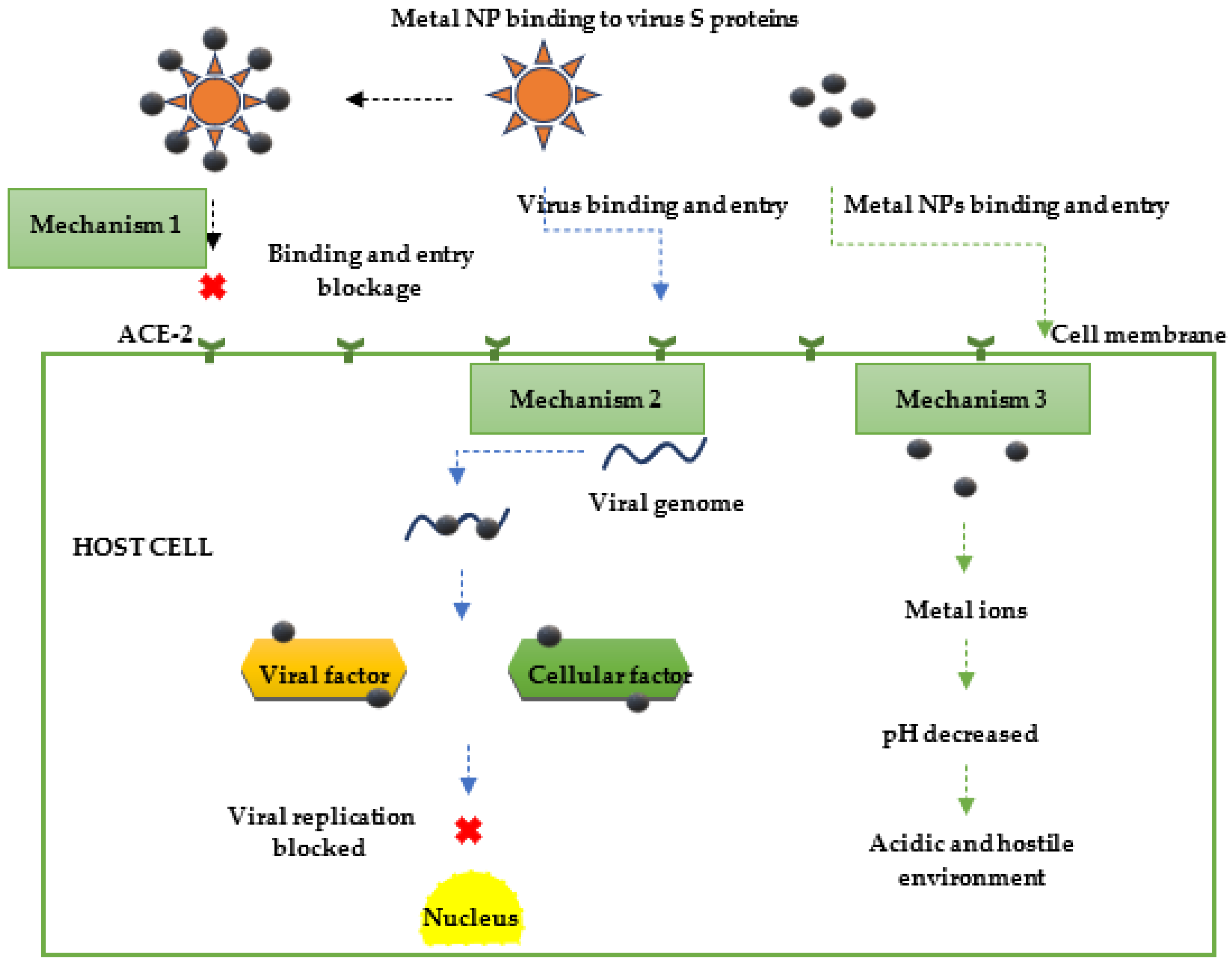 Viruses 15 00741 g004