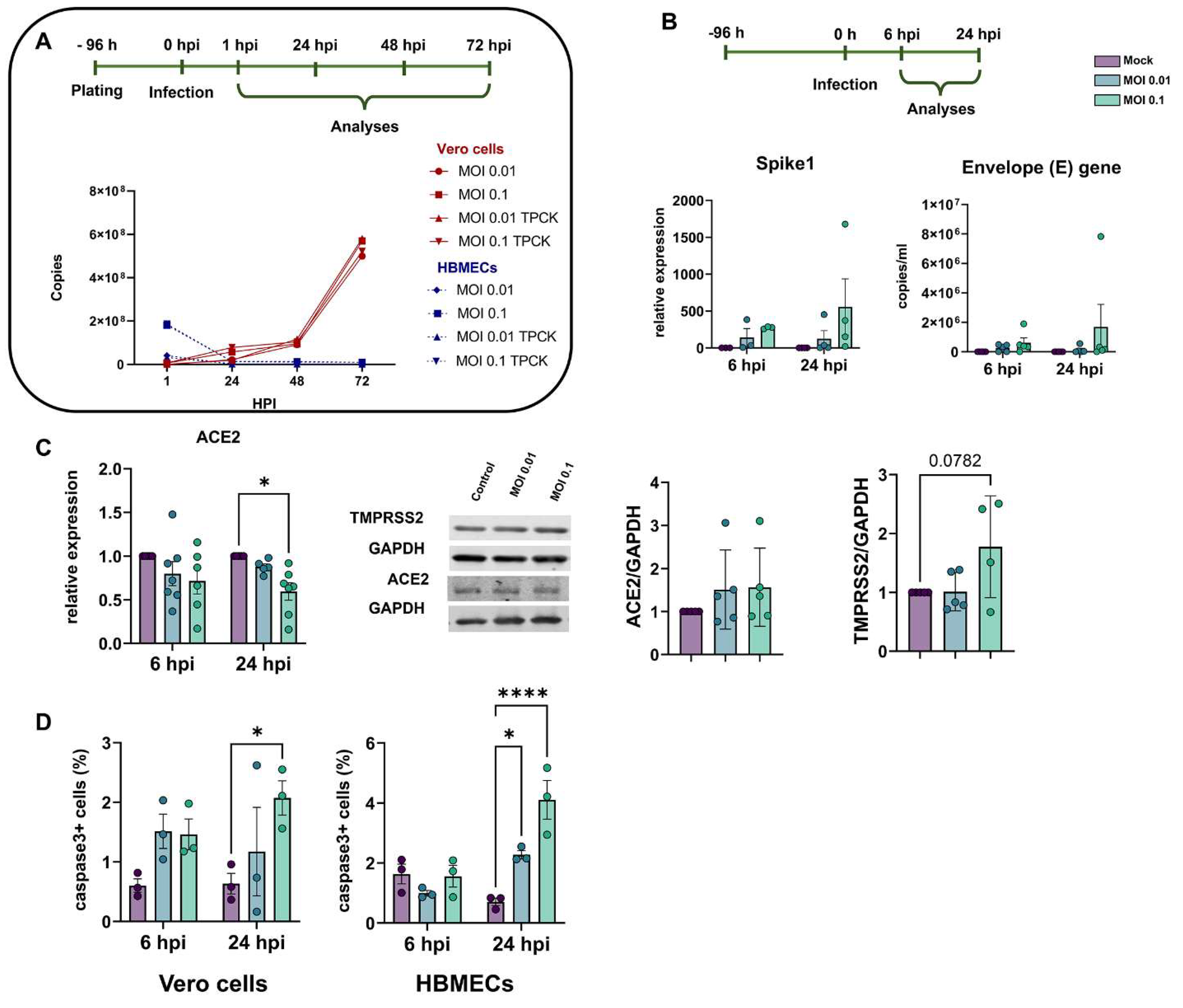 Viruses 15 00745 g001