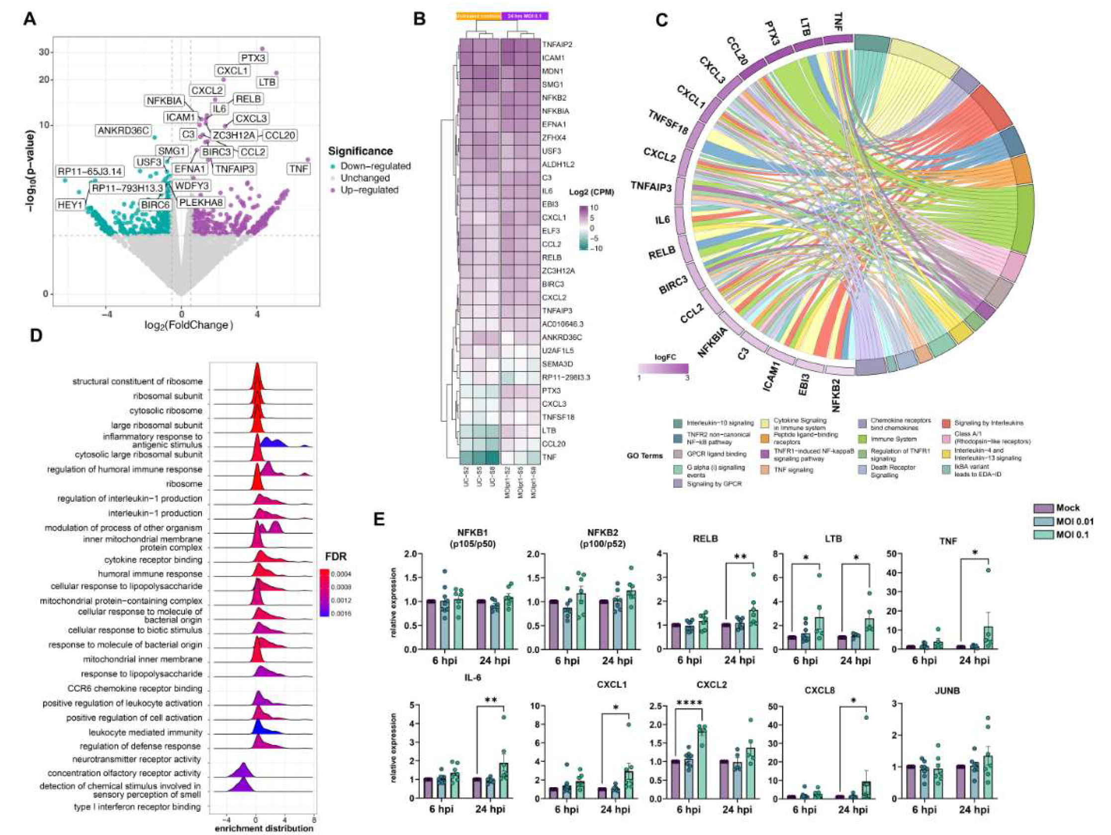 Viruses 15 00745 g003