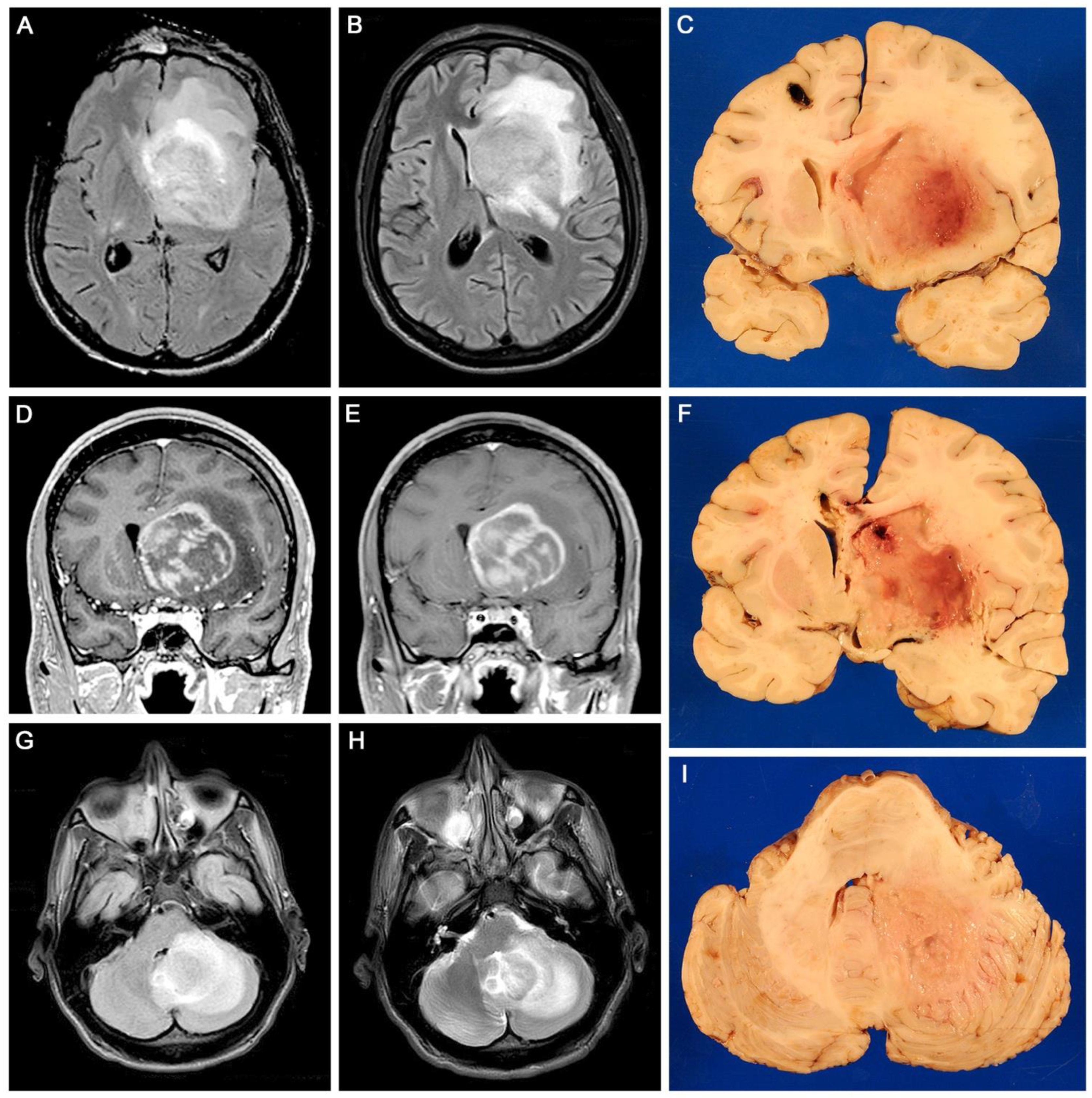 Viruses 15 00755 g001 Viruses 15 00755 g001