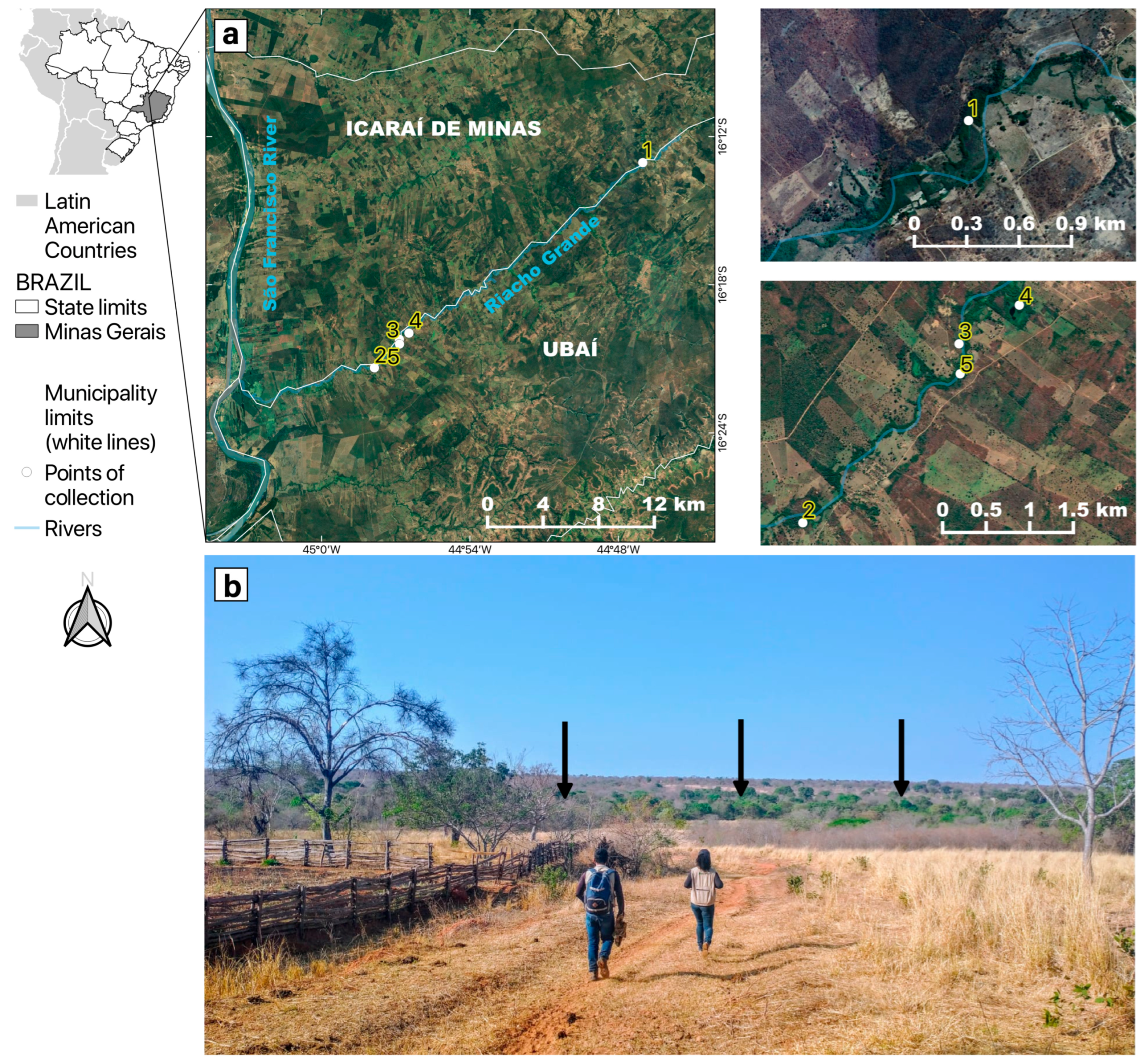 Viruses 15 00757 g001