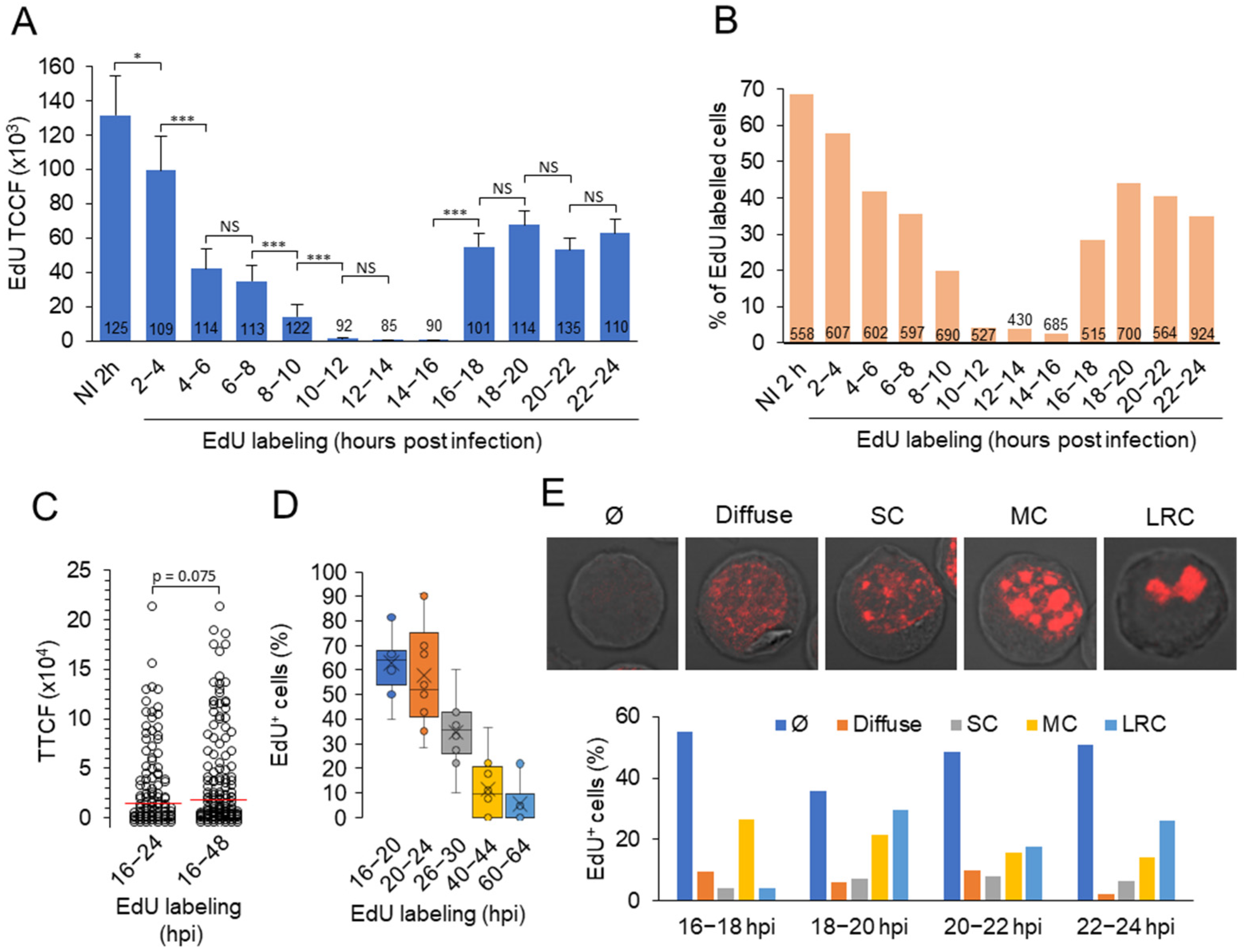 Viruses 15 00766 g005 Viruses 15 00766 g005