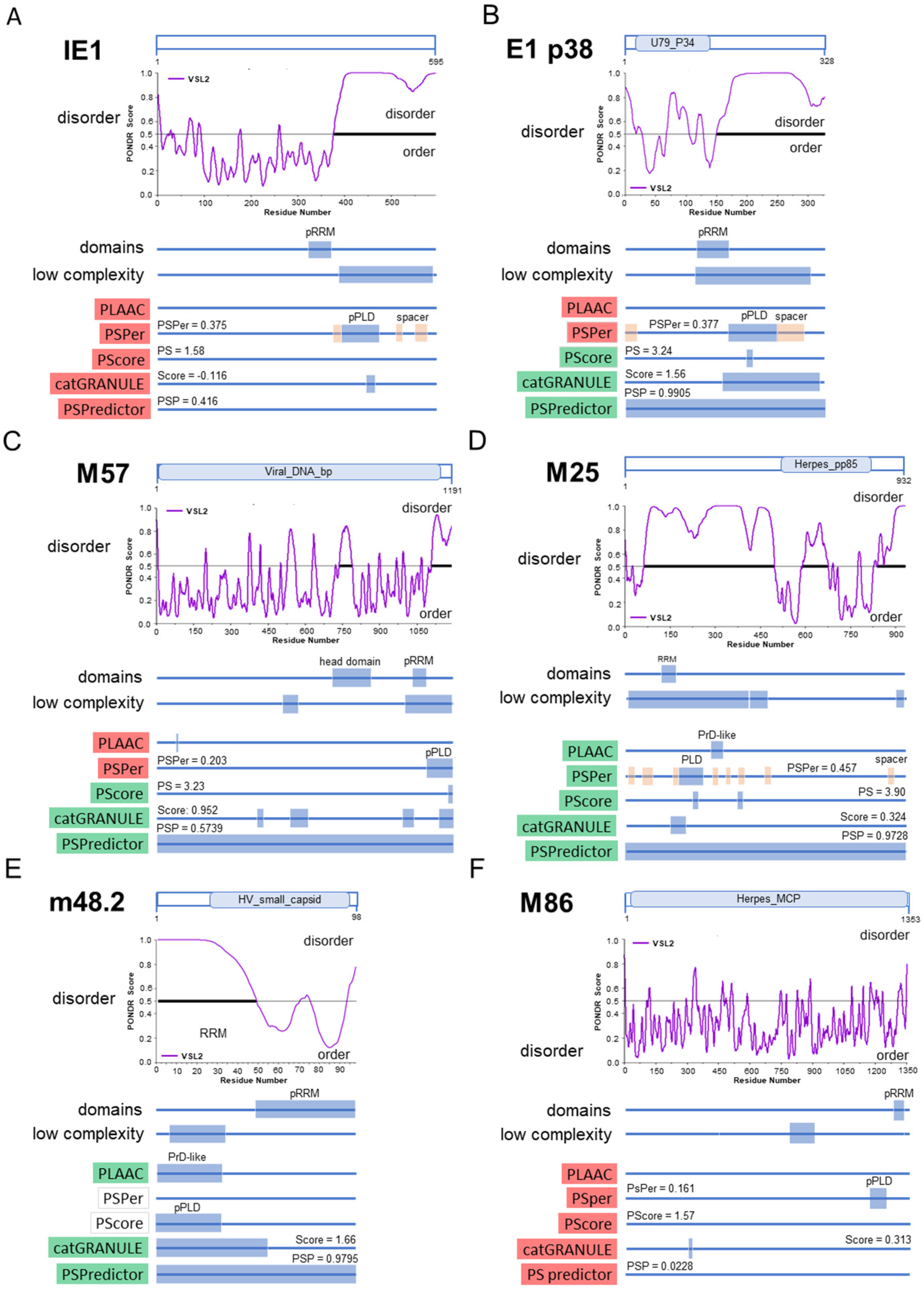 Viruses 15 00766 g007 Viruses 15 00766 g007