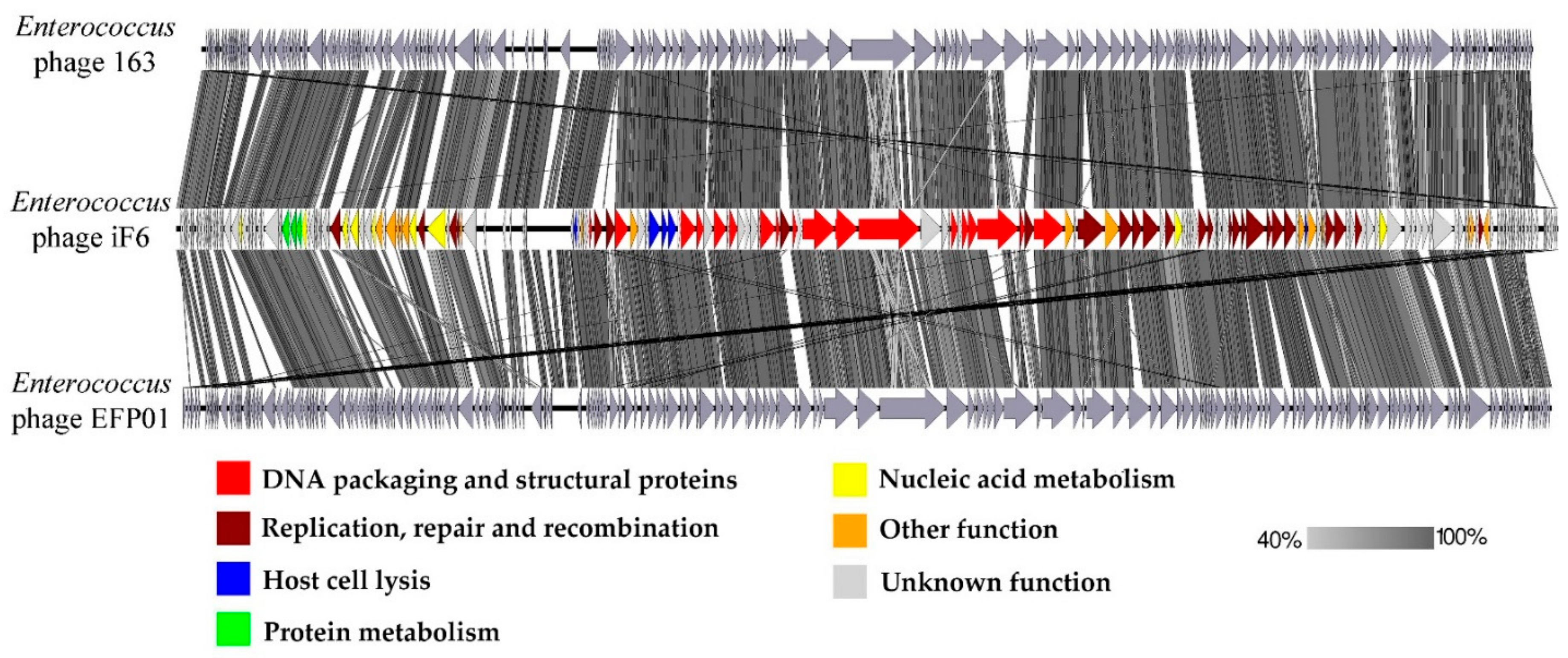 Viruses 15 00767 g007