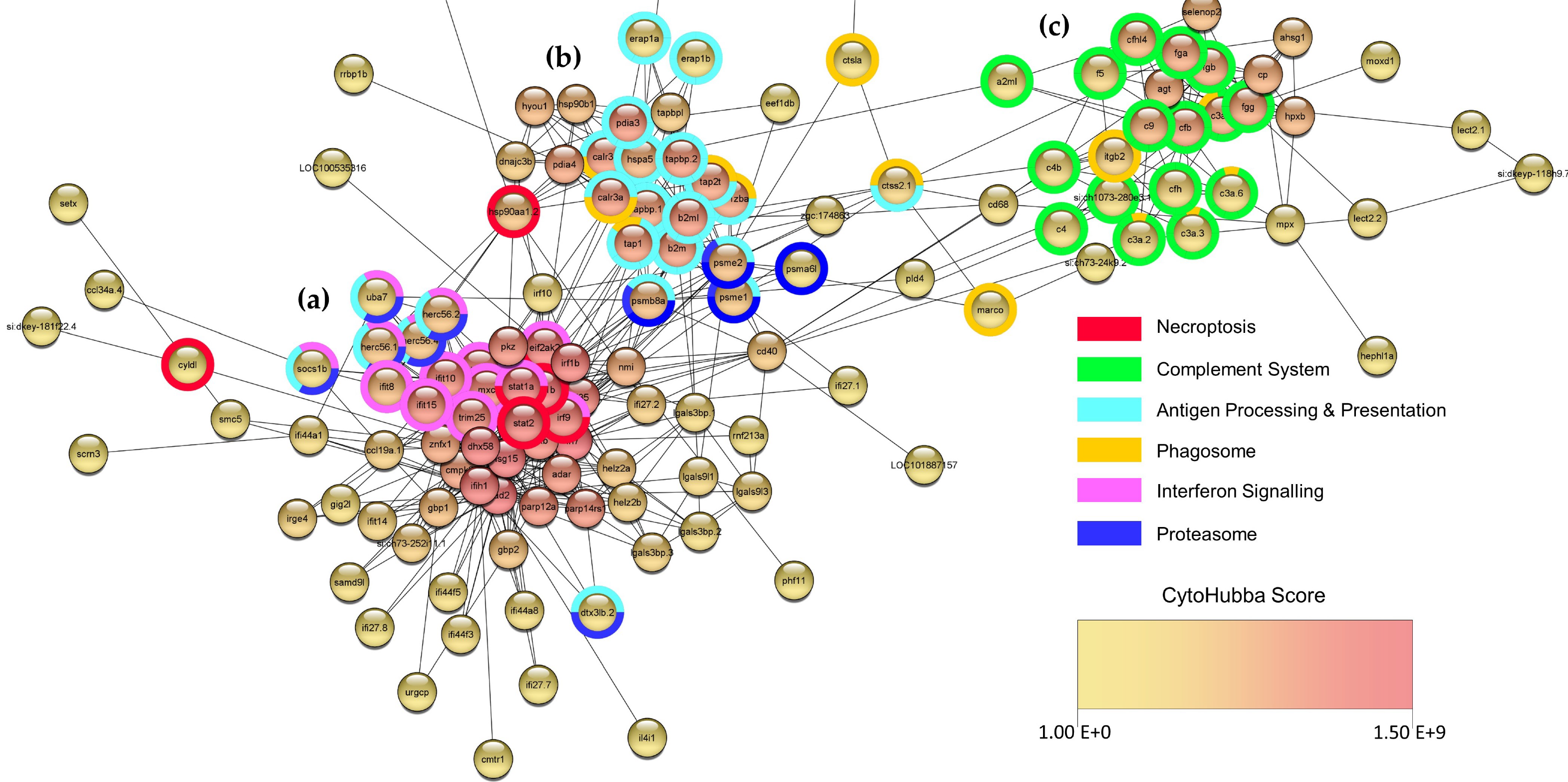 Viruses 15 00768 g009