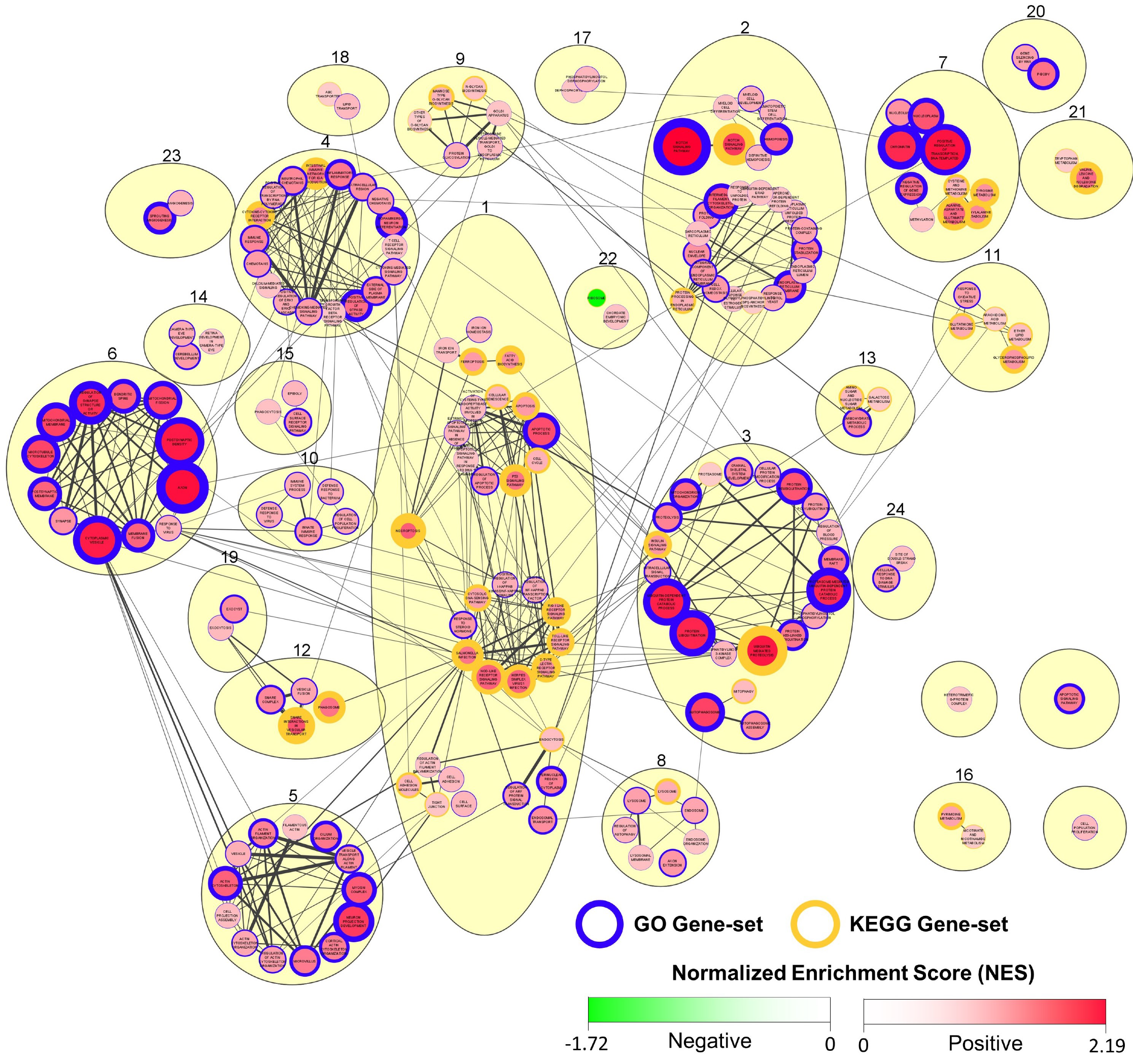 Viruses 15 00768 g010