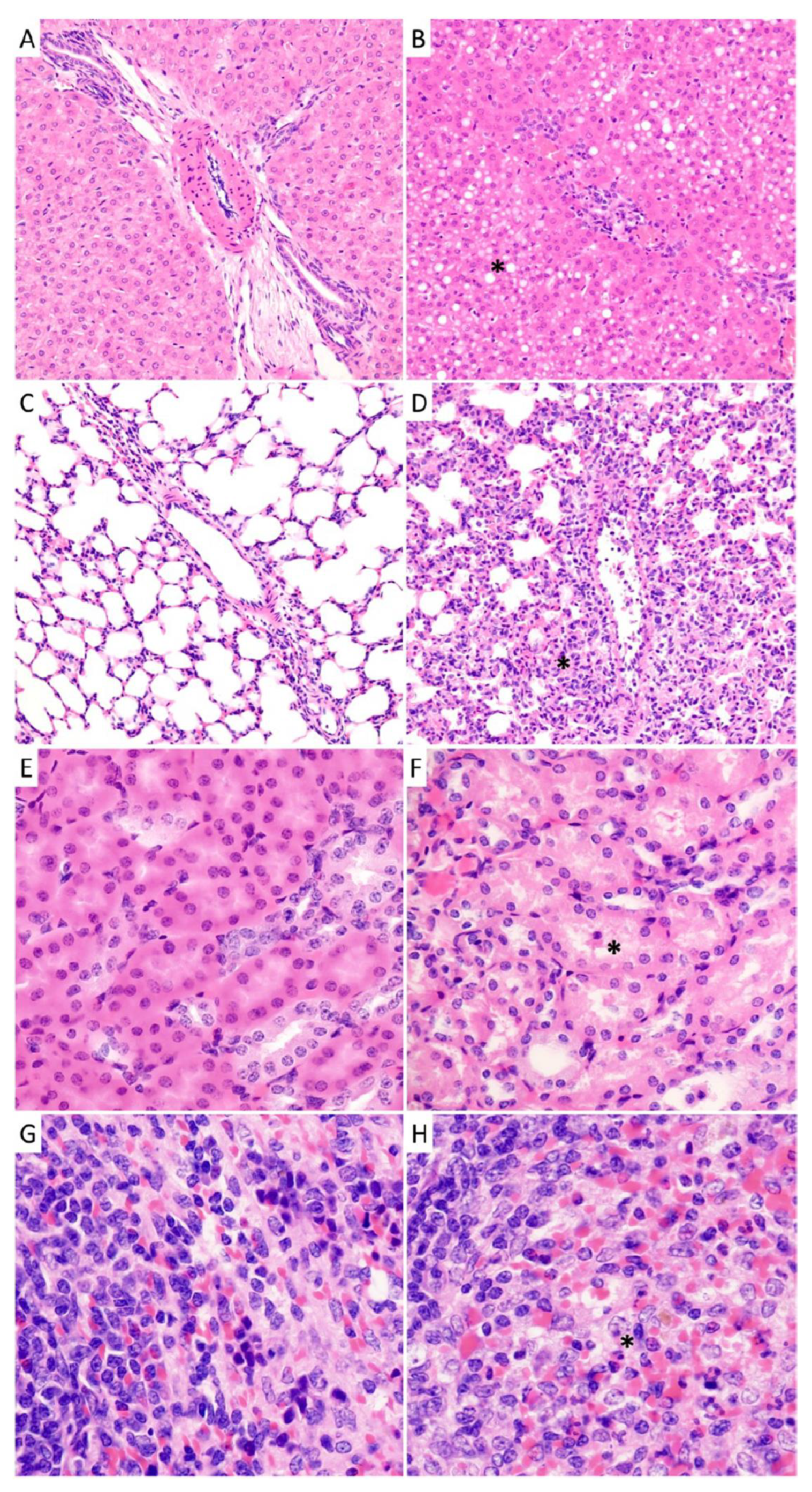 Viruses 15 00769 g008 Viruses 15 00769 g008