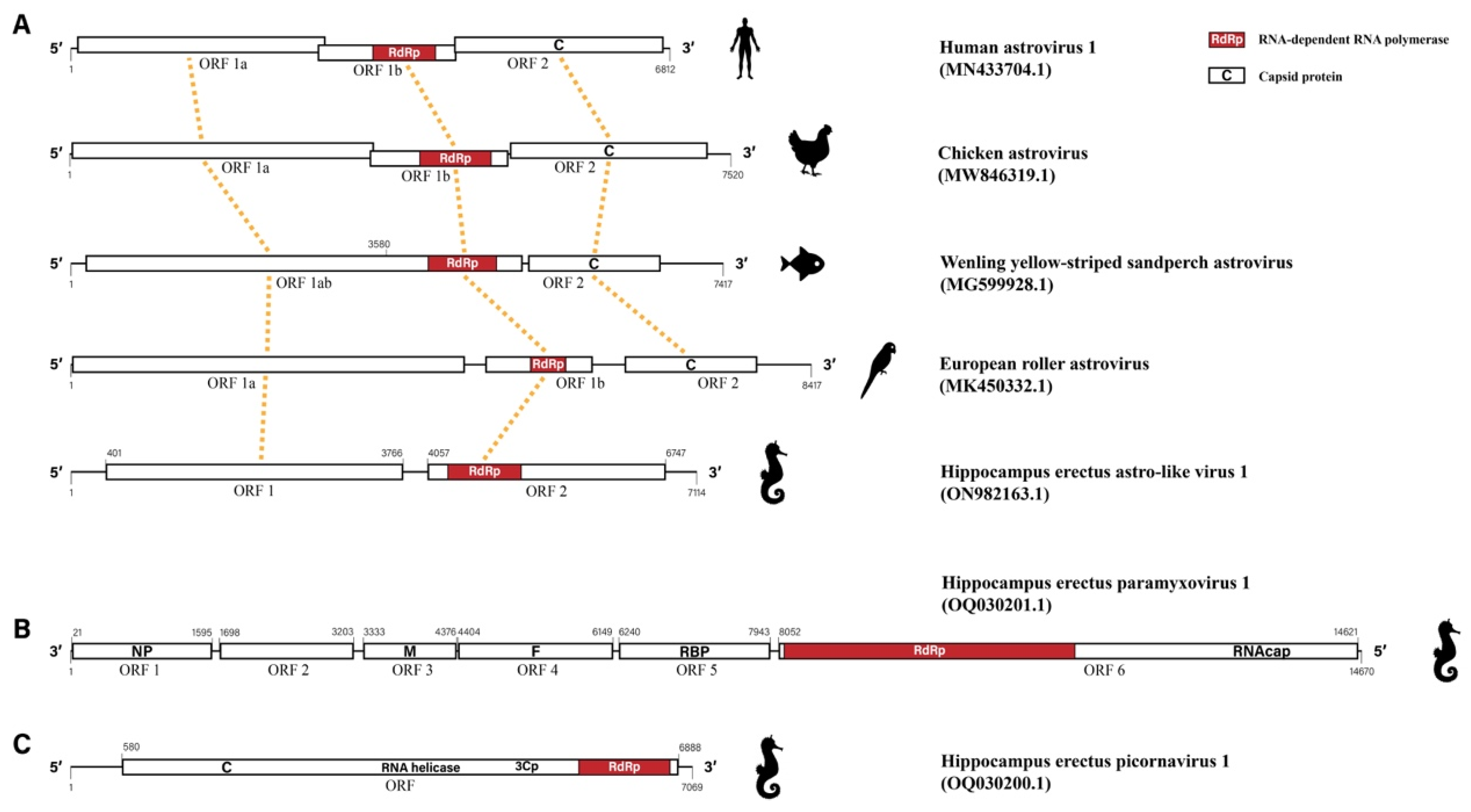 Viruses 15 00772 g001