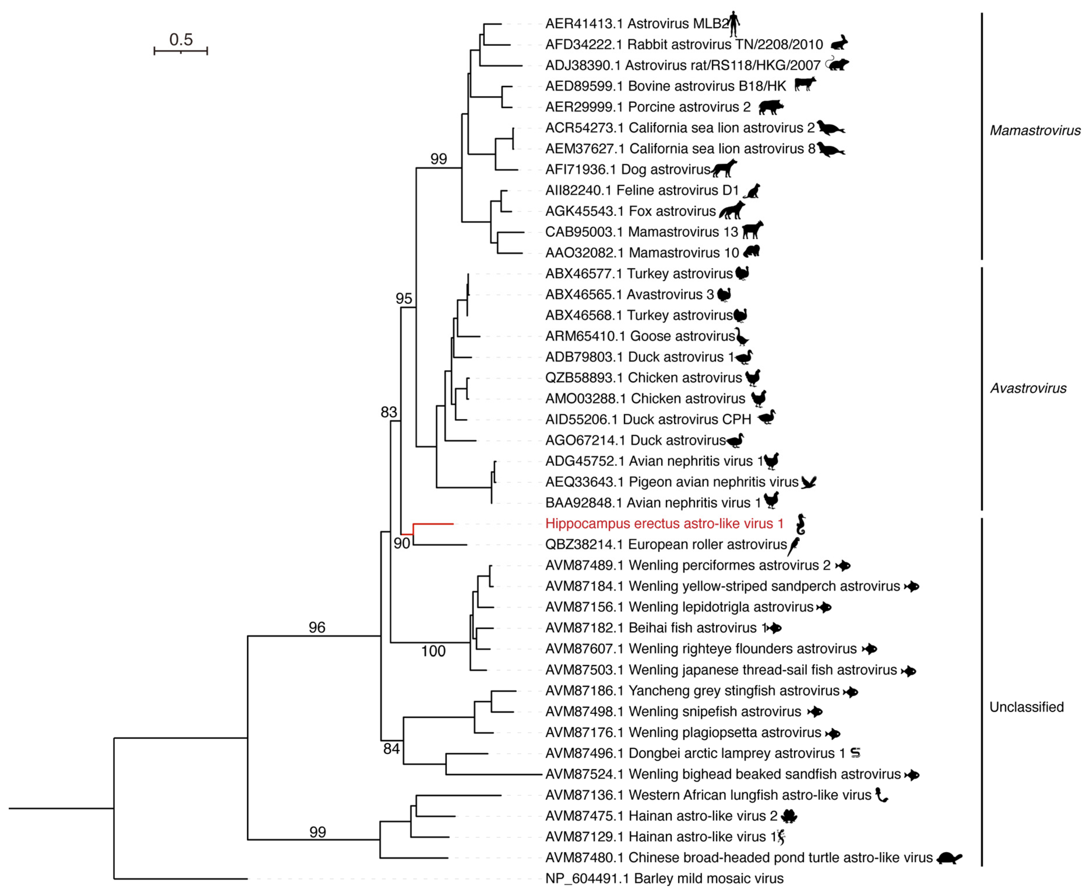 Viruses 15 00772 g002