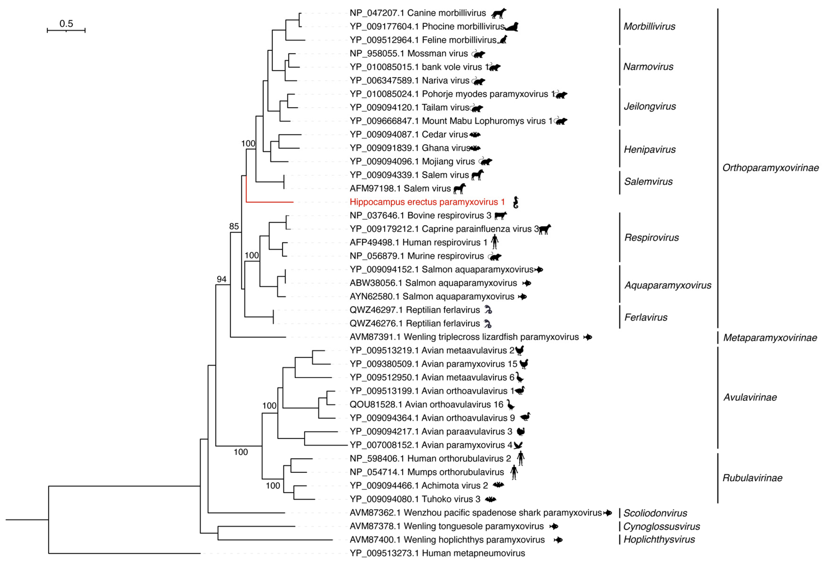 Viruses 15 00772 g003