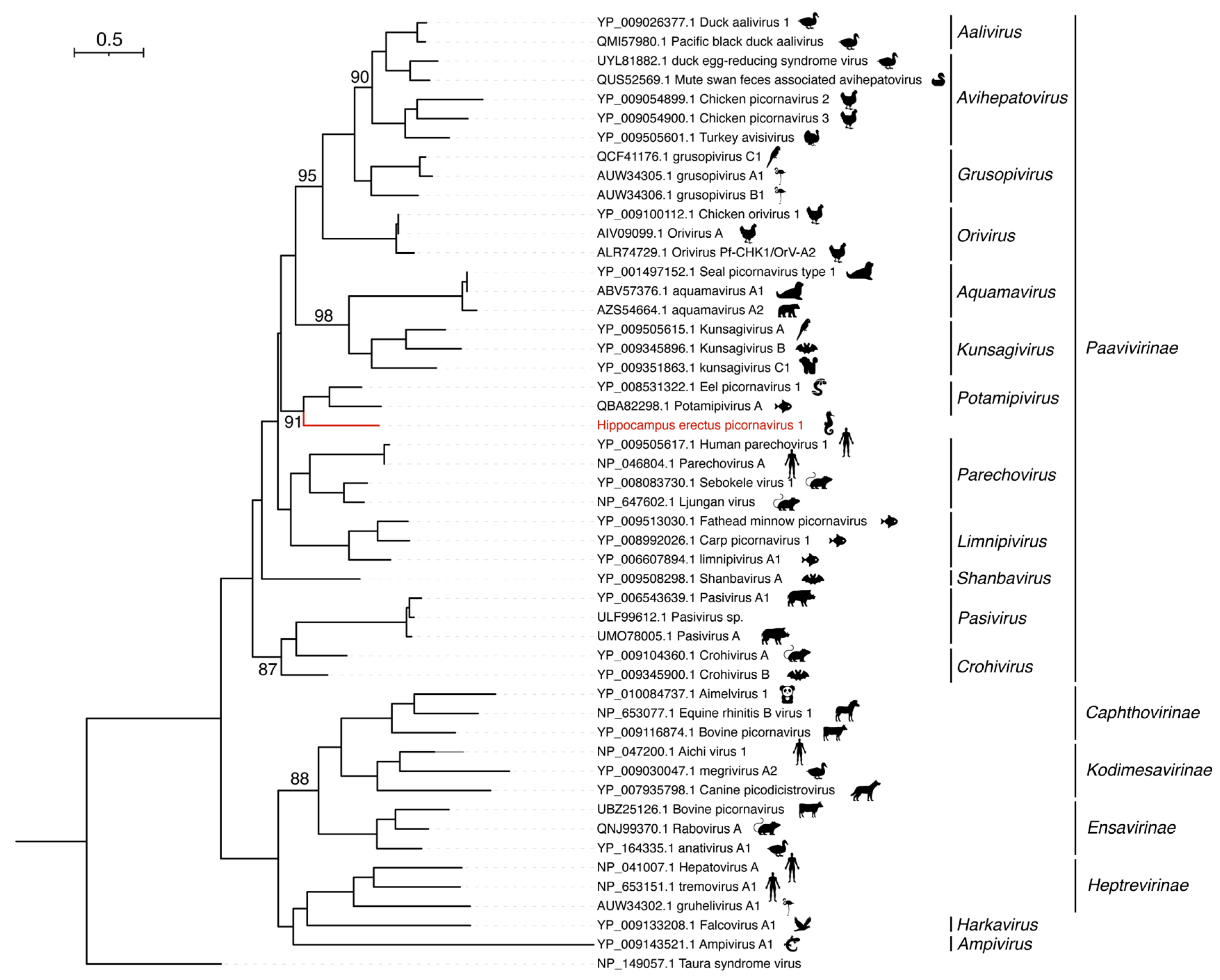 Viruses 15 00772 g004