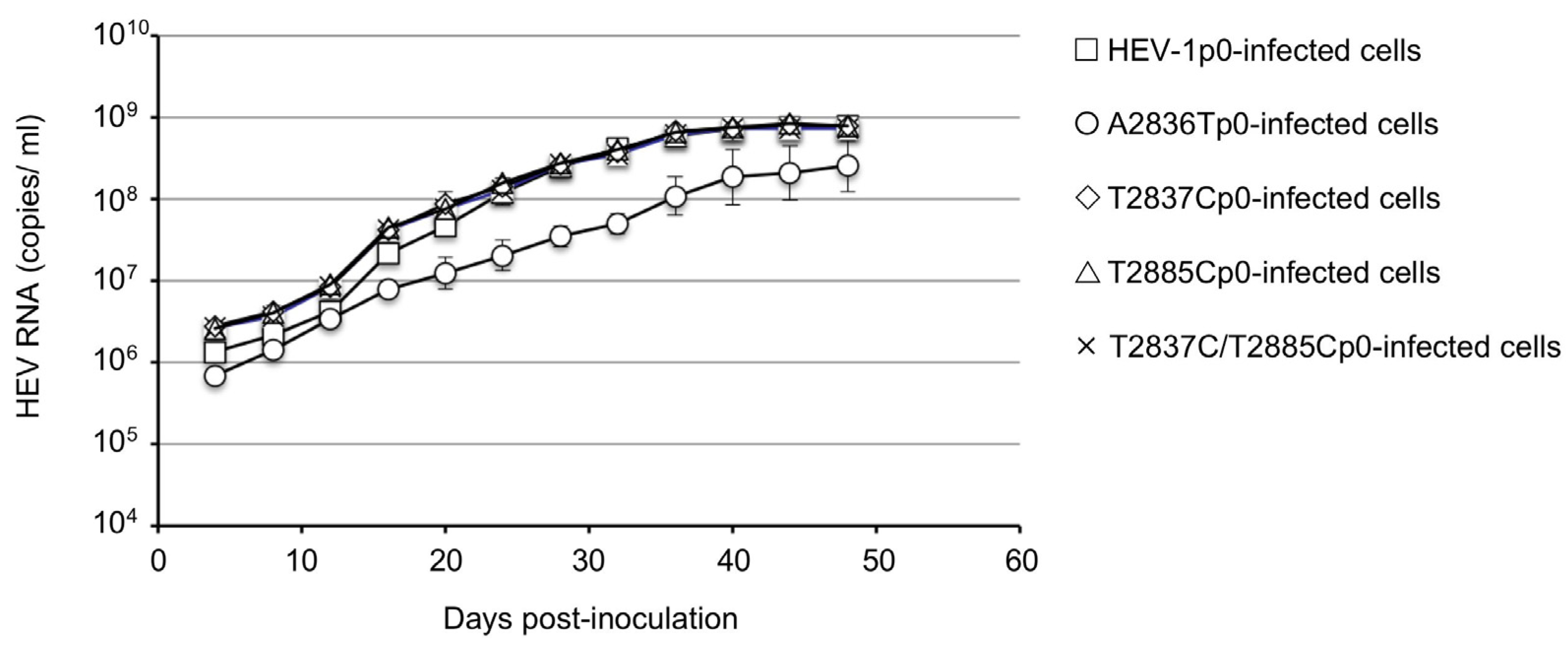 Viruses 15 00784 g003