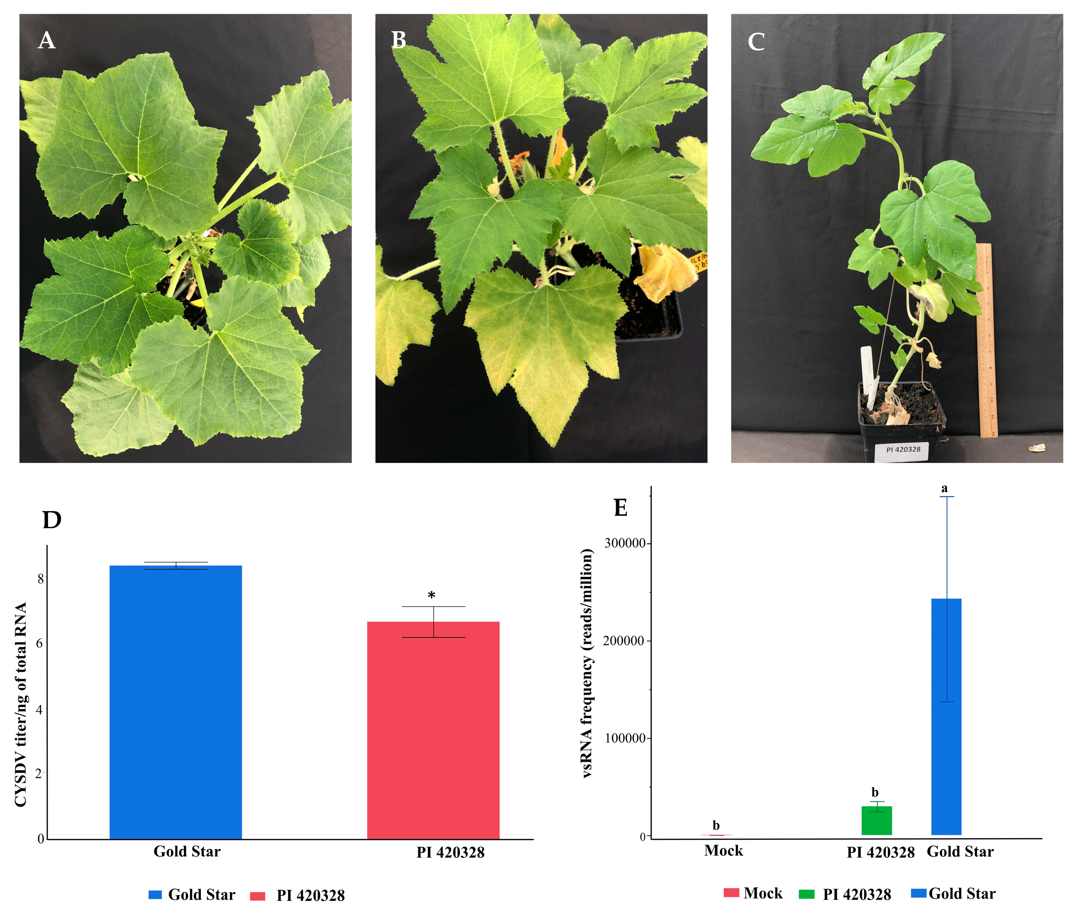 Viruses 15 00788 g001