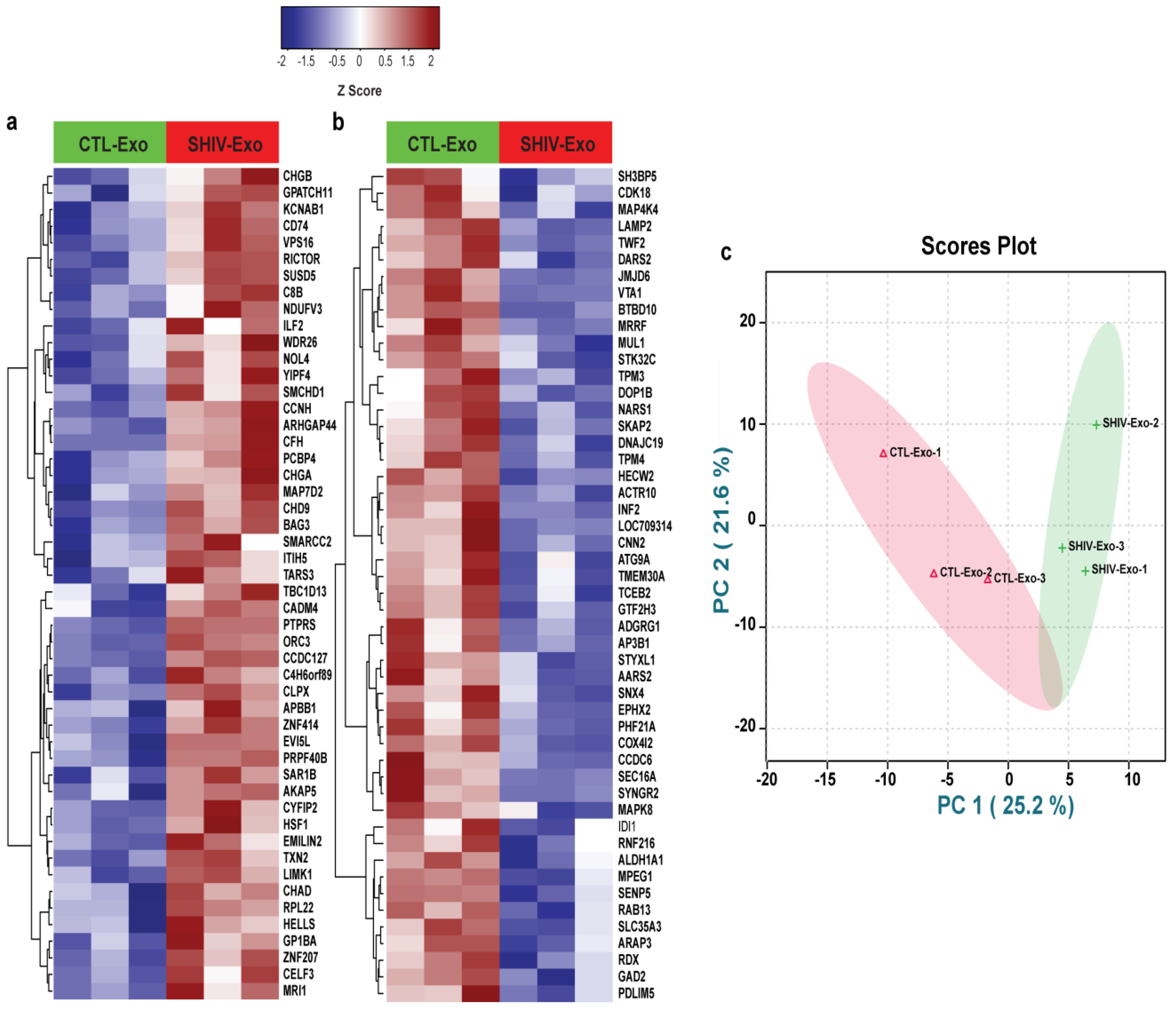 Viruses 15 00794 g002