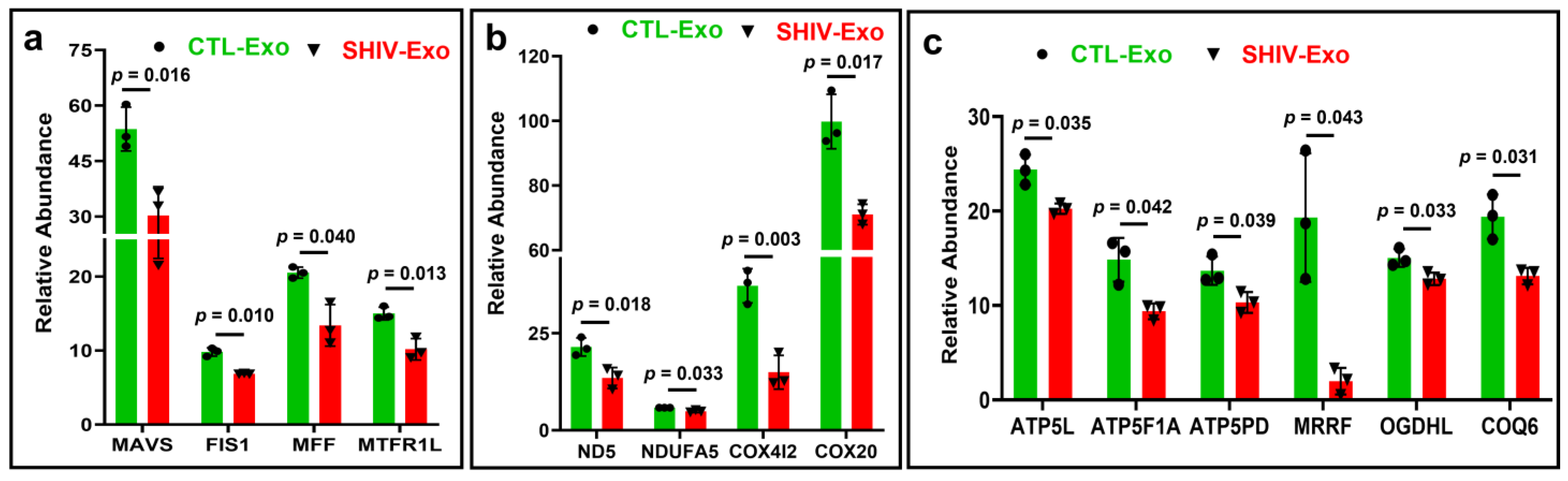 Viruses 15 00794 g006