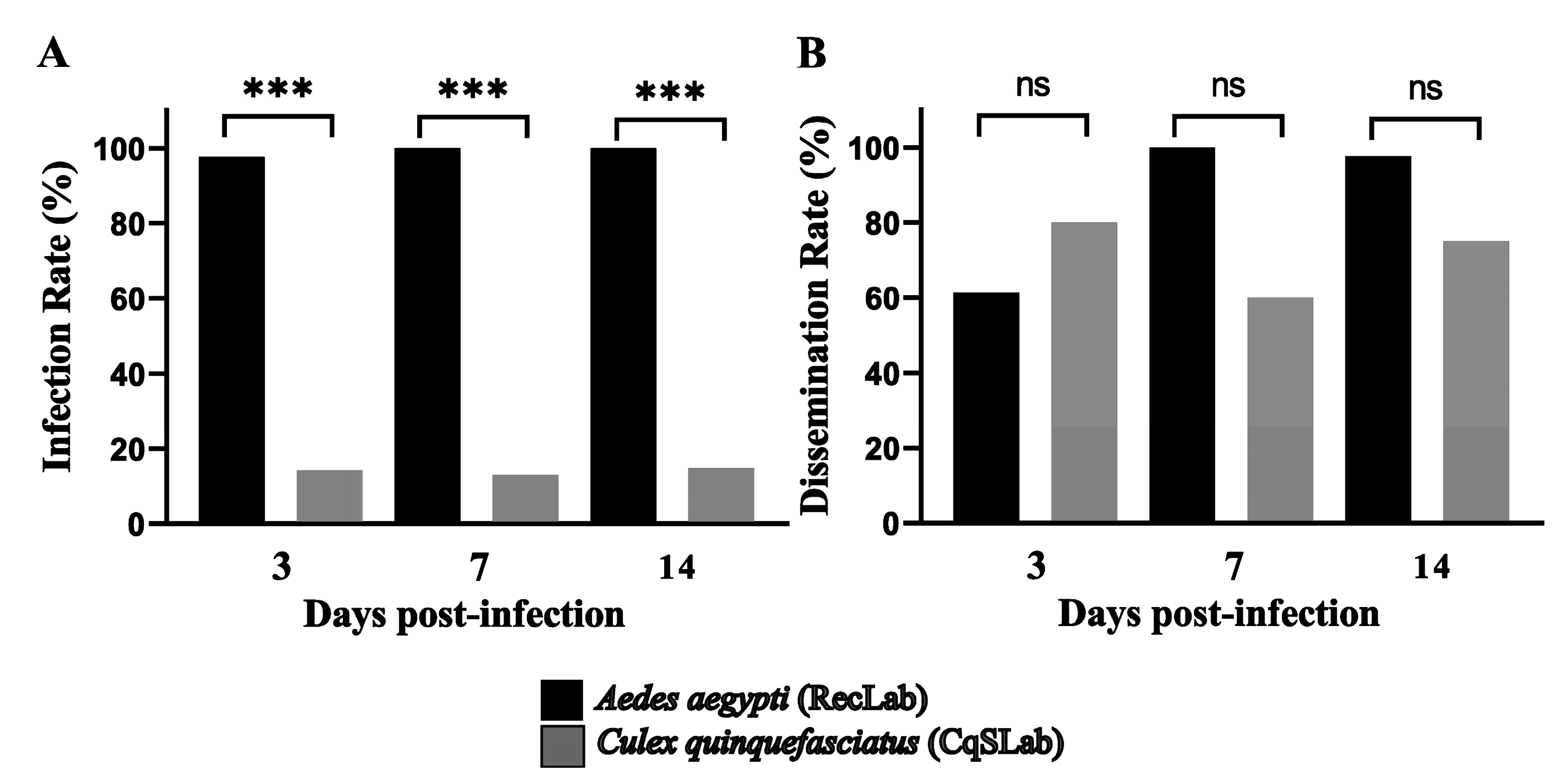 Viruses 15 00799 g002 Viruses 15 00799 g002