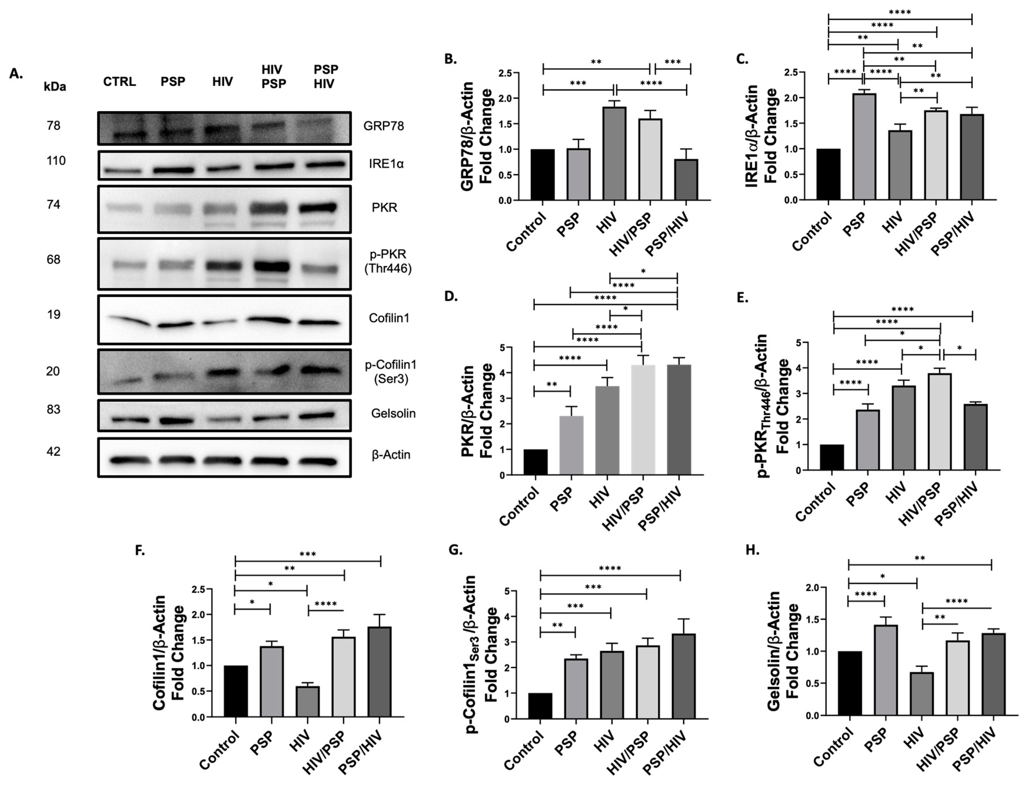 Viruses 15 00804 g004