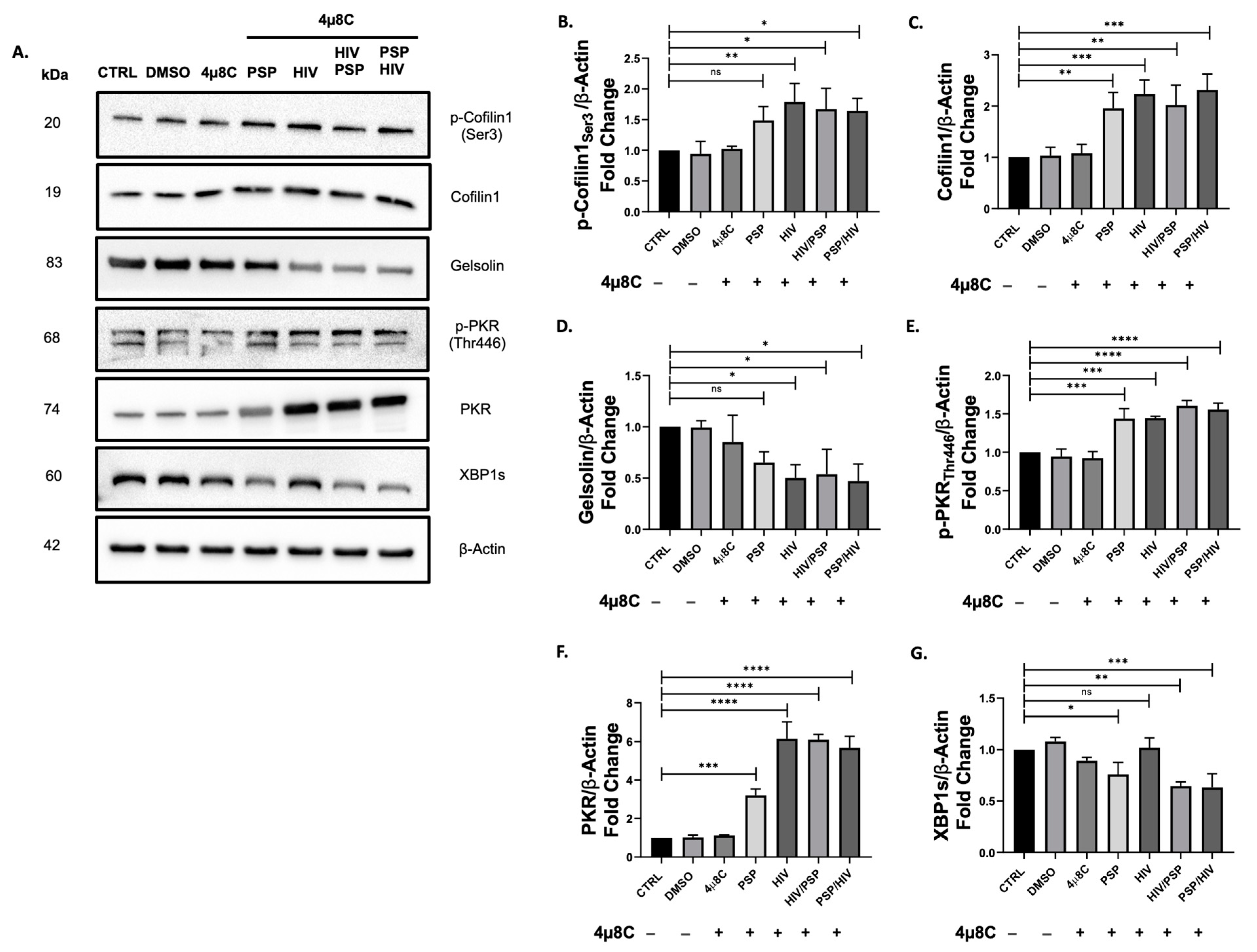 Viruses 15 00804 g006