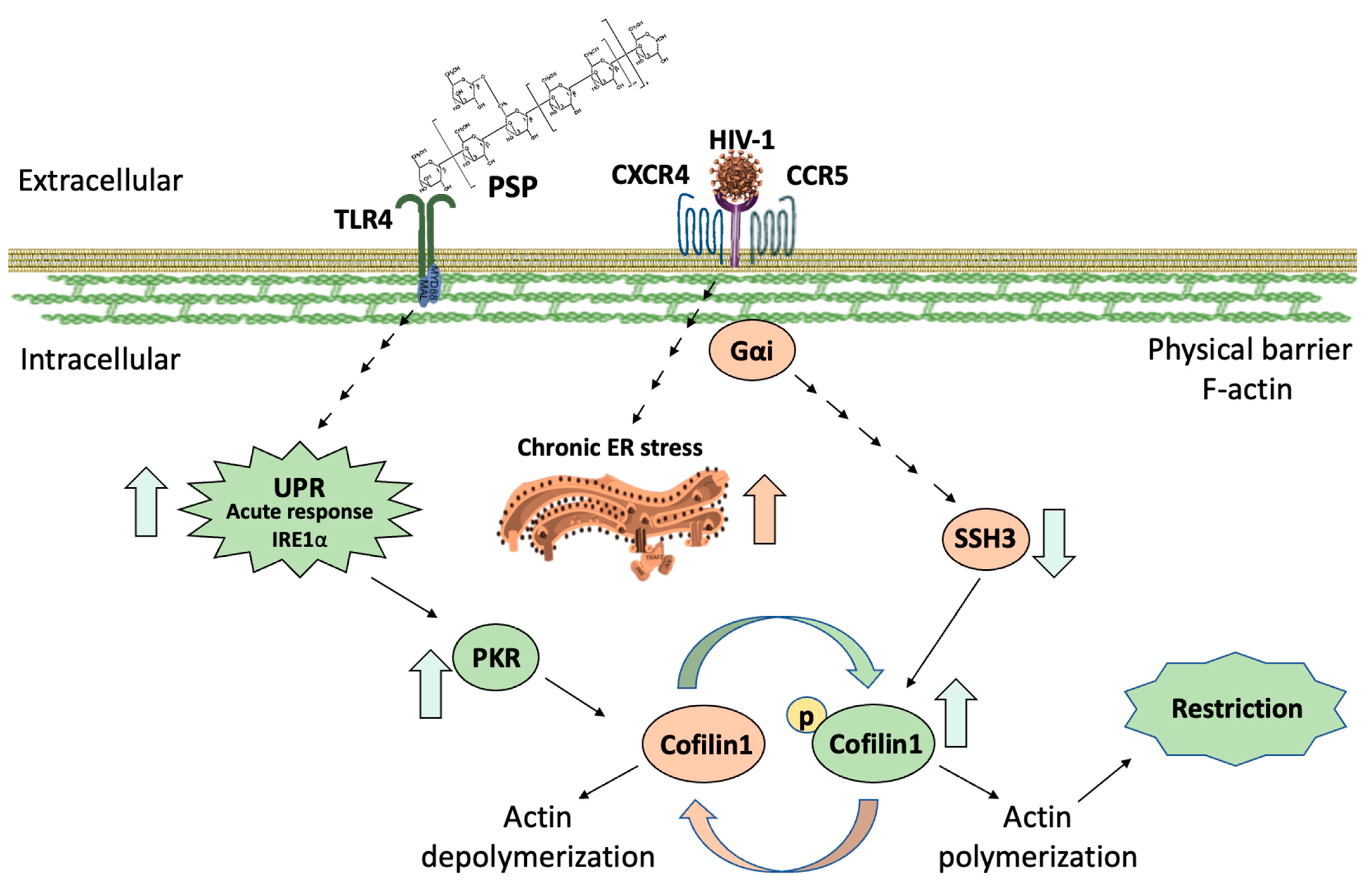 Viruses 15 00804 g008