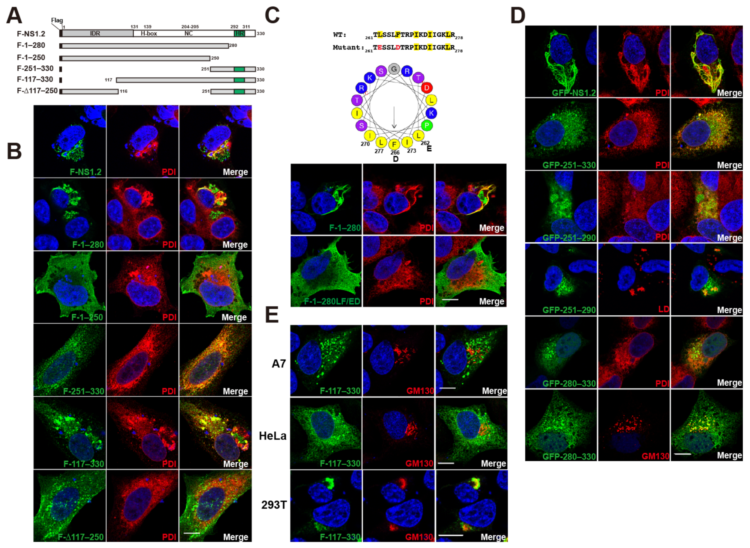 Viruses 15 00812 g001