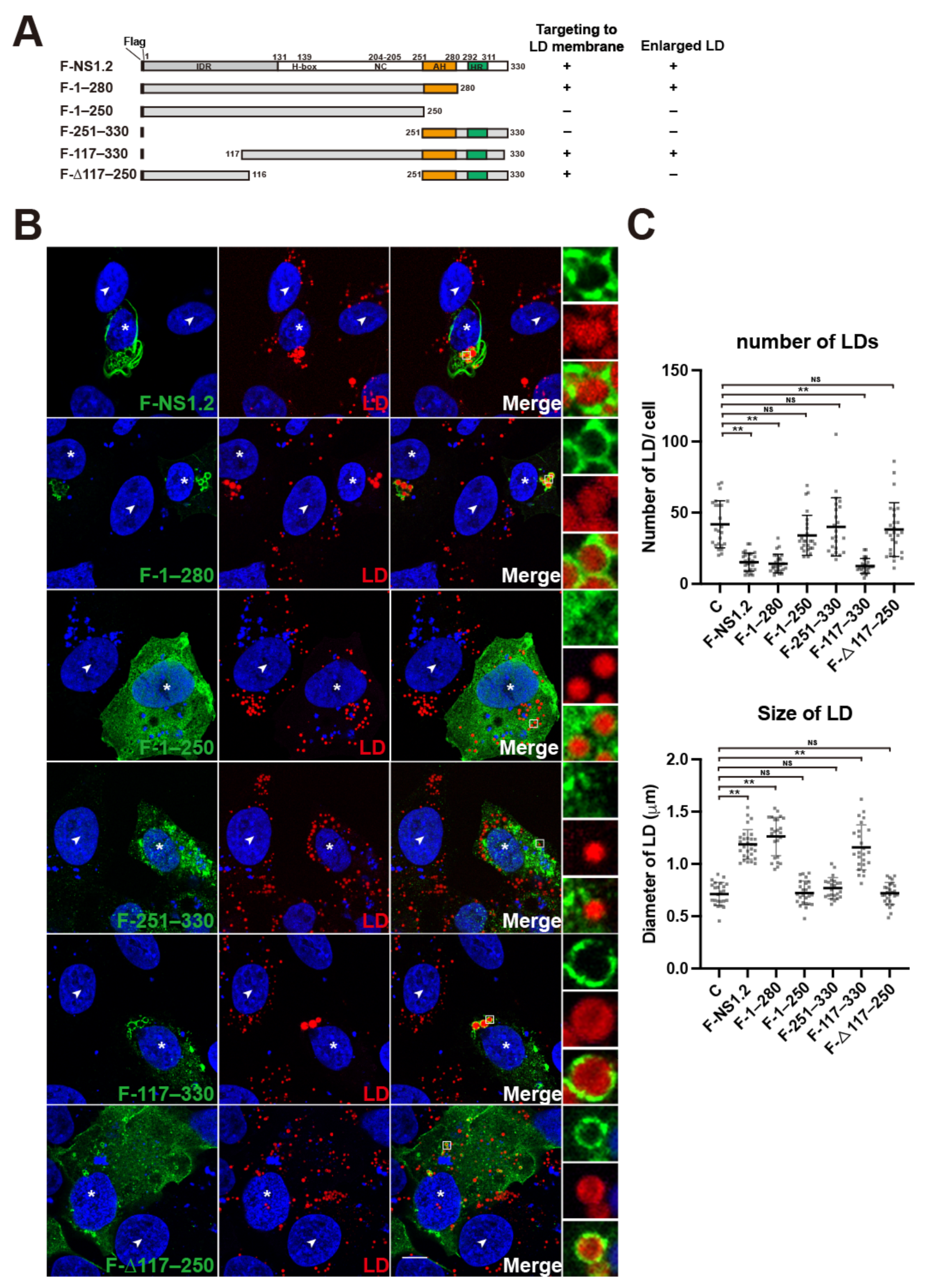 Viruses 15 00812 g002