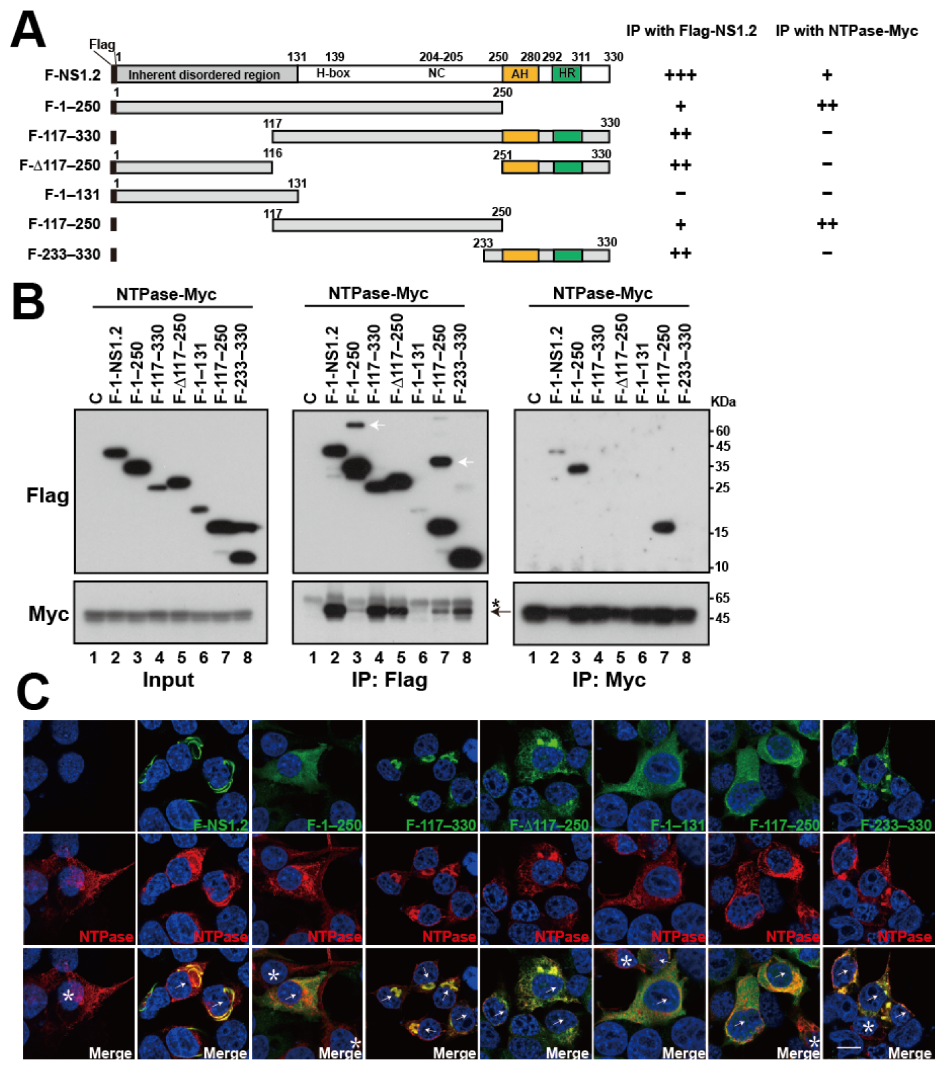 Viruses 15 00812 g007