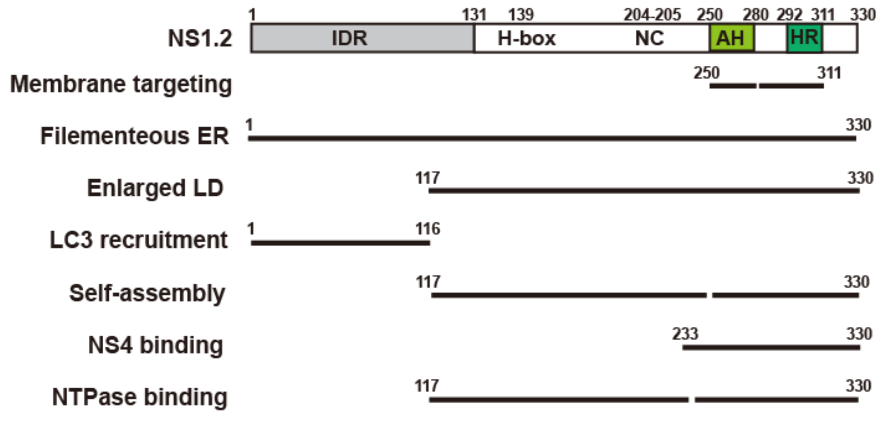 Viruses 15 00812 g008