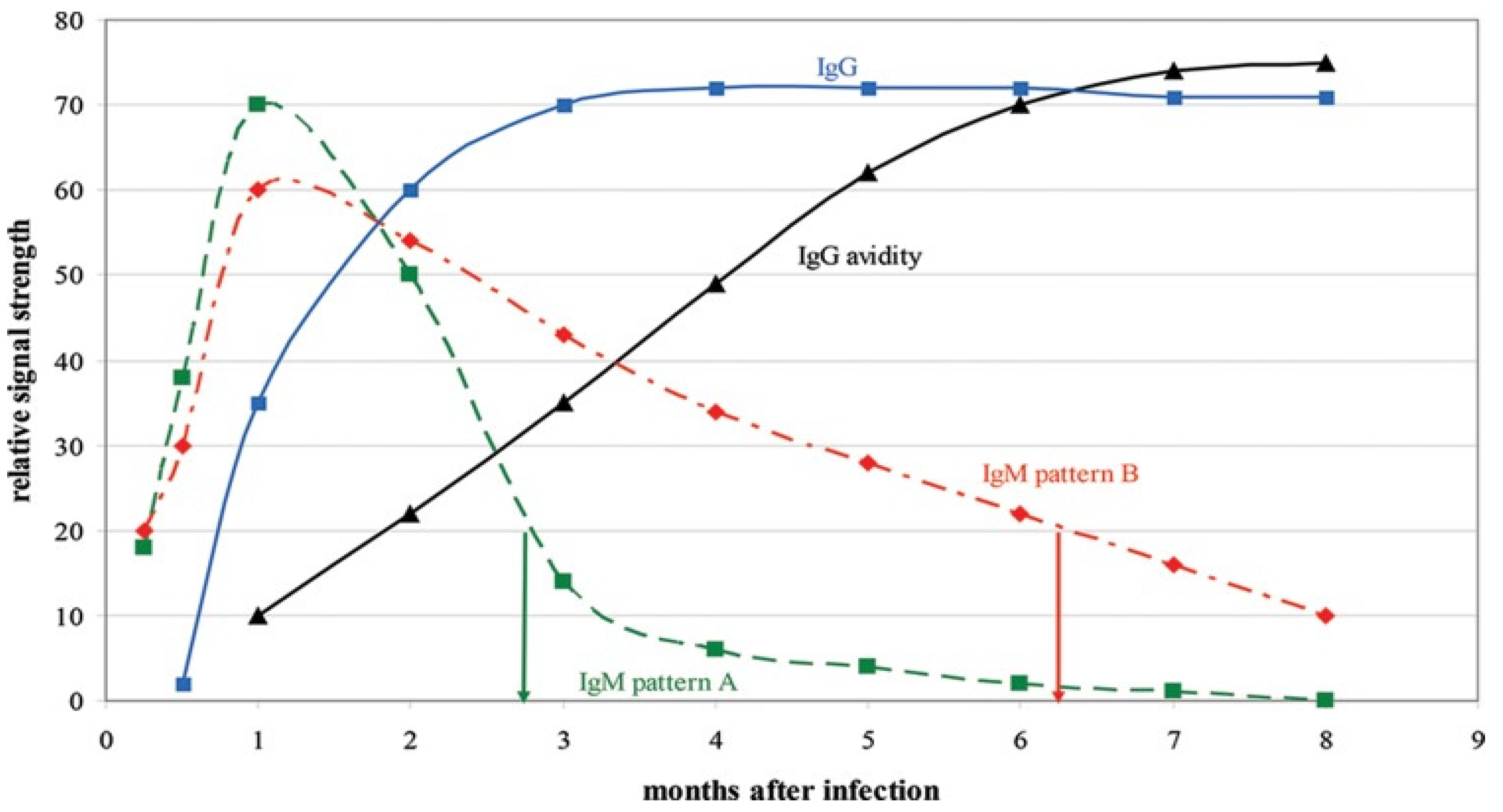 Viruses 15 00819 g001