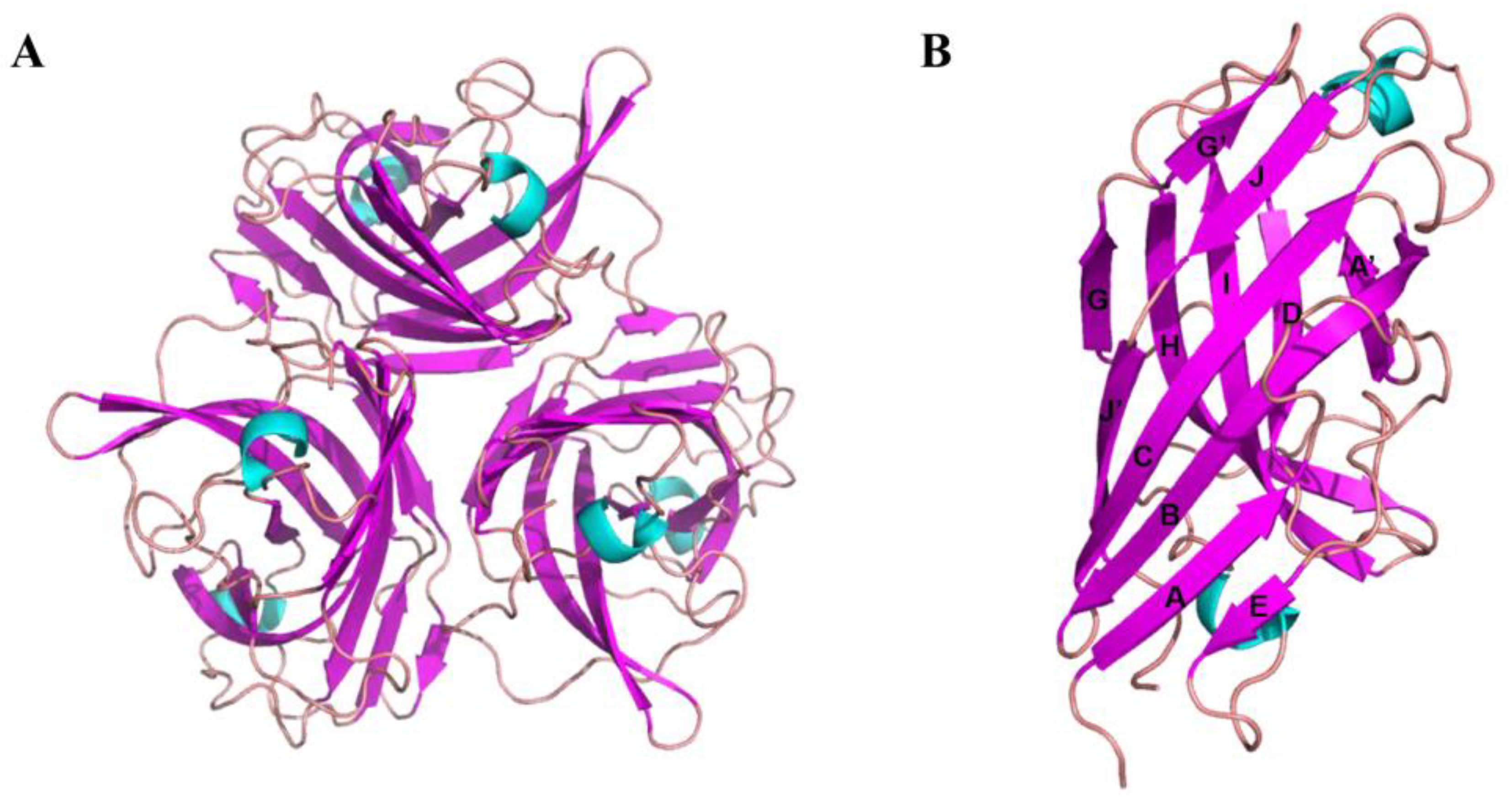 Viruses 15 00821 g002