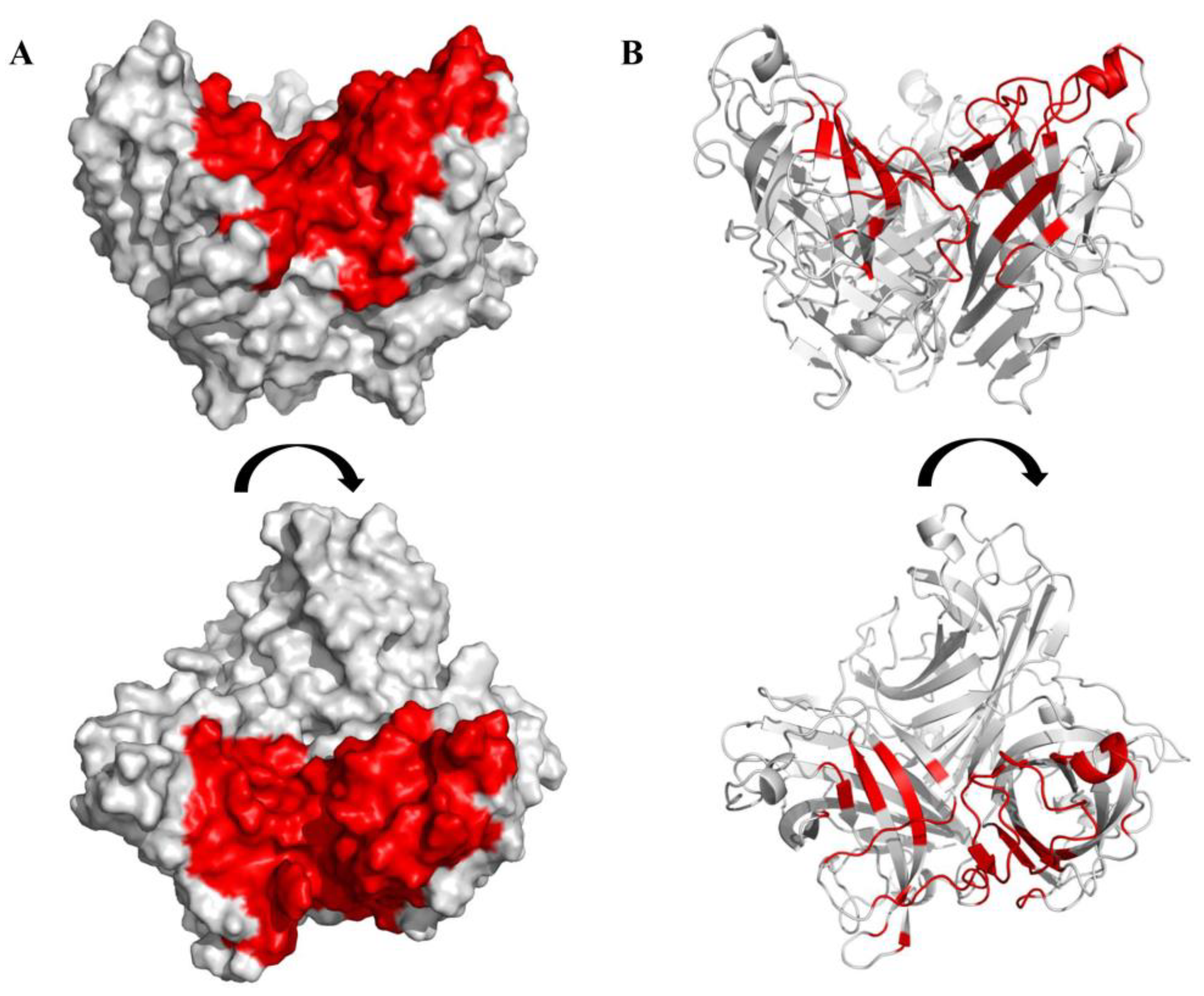 Viruses 15 00821 g003